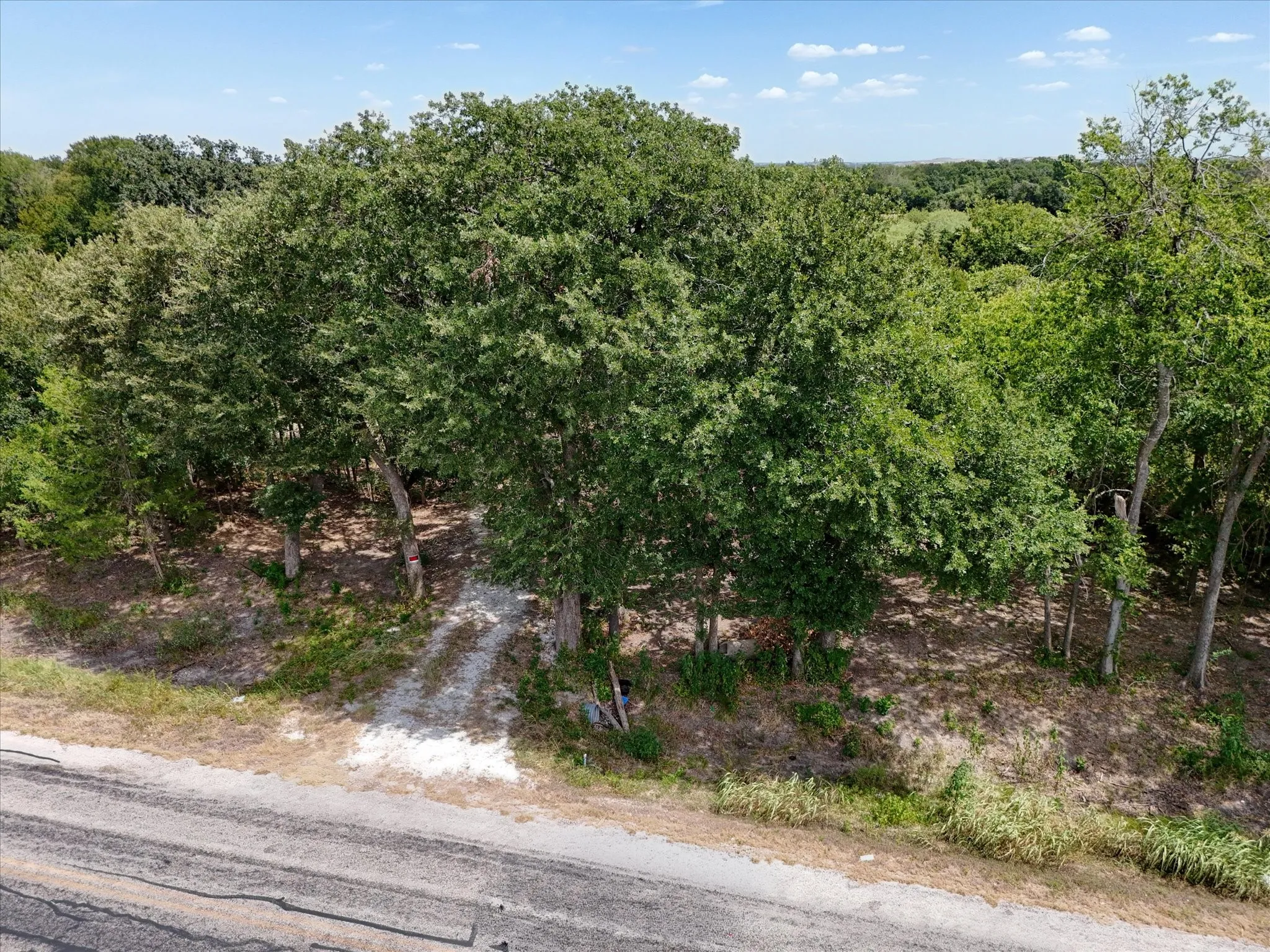 Expansive wooded acreage featuring mature trees and natural terrain
