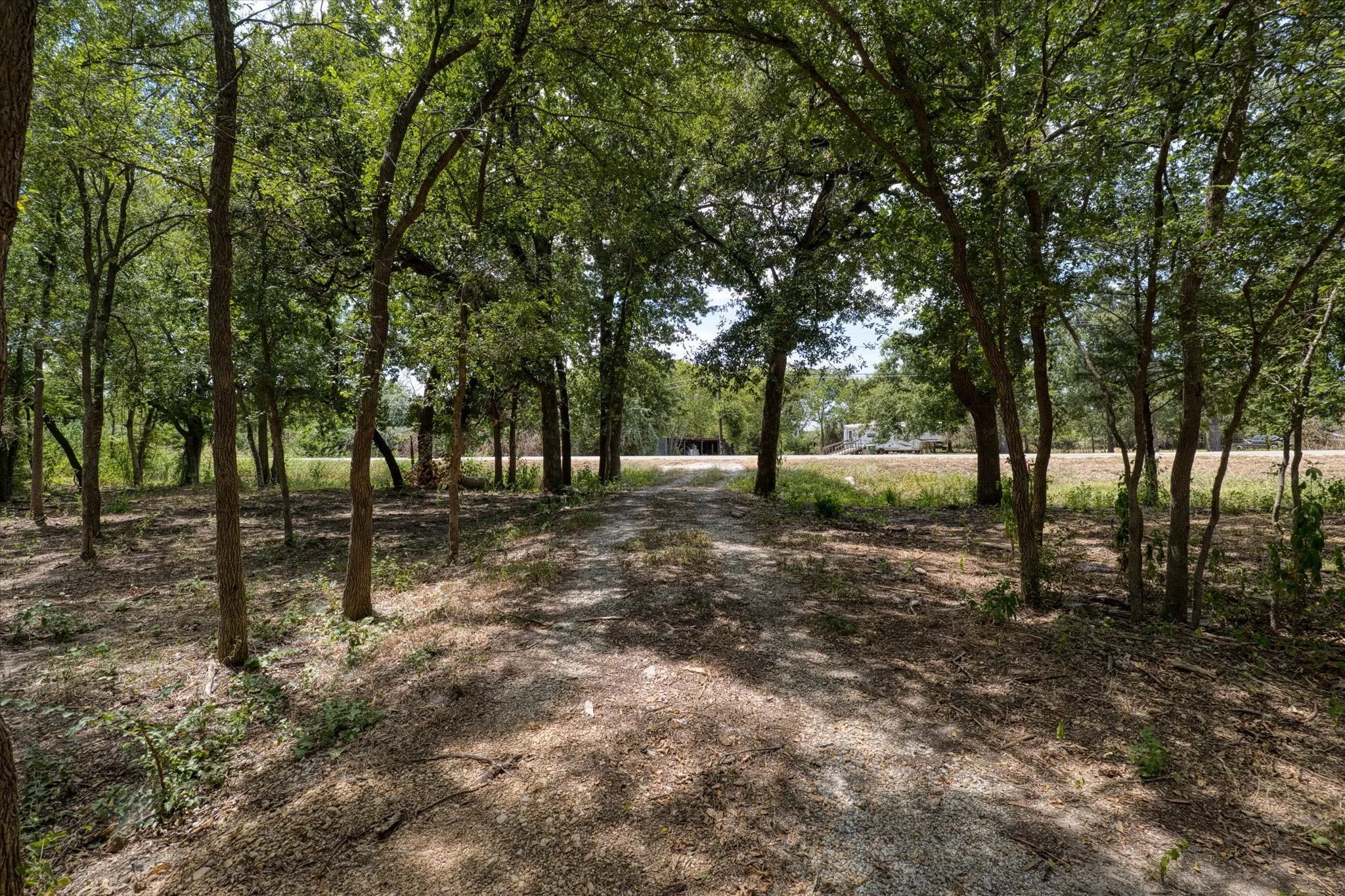 Wooded lot with mature trees and natural ground cover