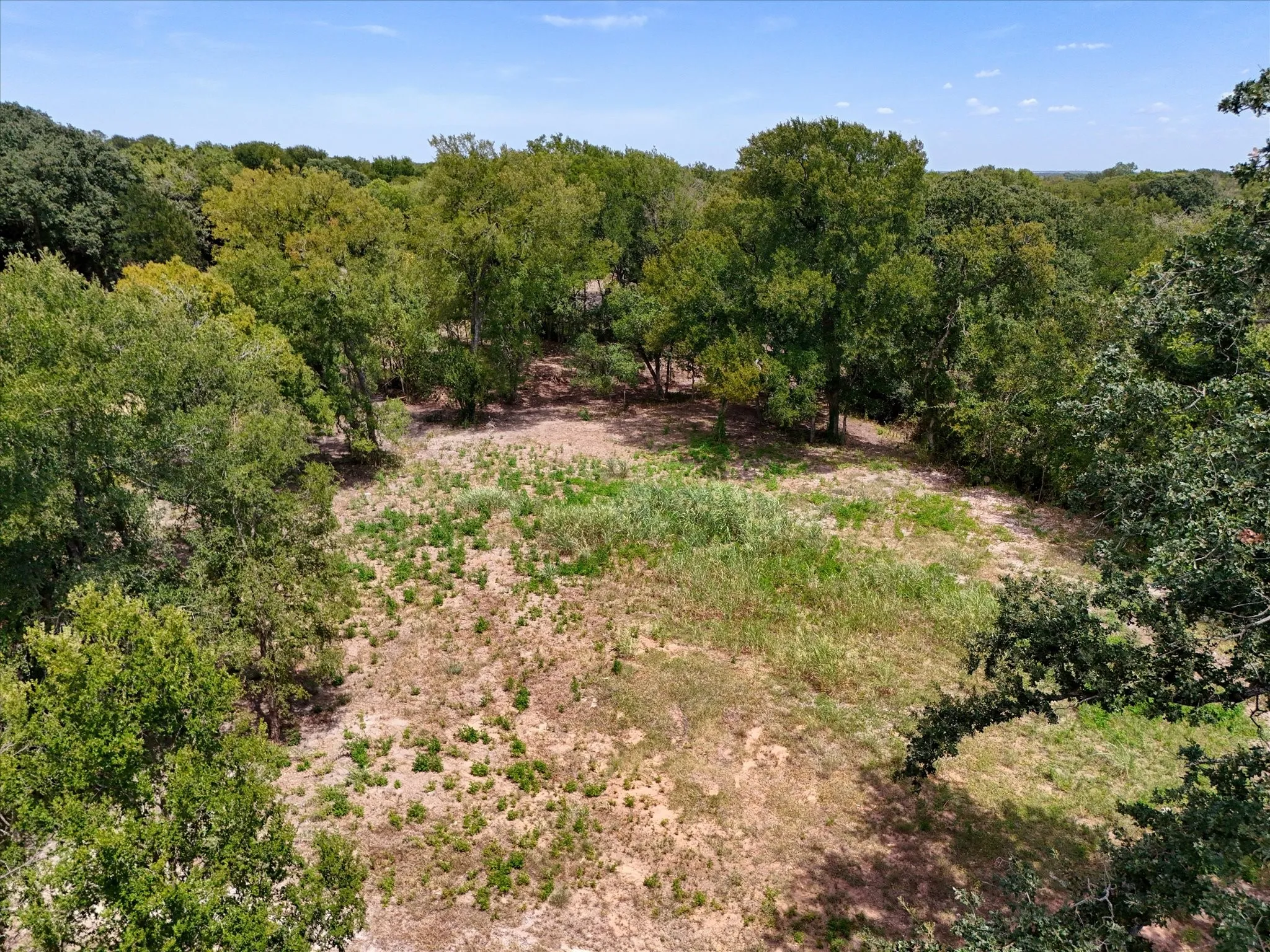 Expansive wooded acreage featuring mature trees and natural terrain
