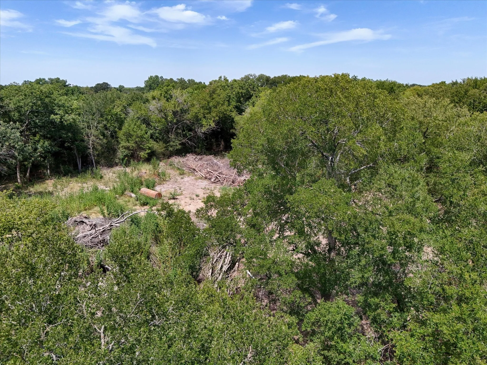 Expansive wooded acreage featuring mature trees and natural​​‌​​​​‌​​‌‌​‌‌​​​‌‌​‌​‌​‌​​​‌​​ terrain