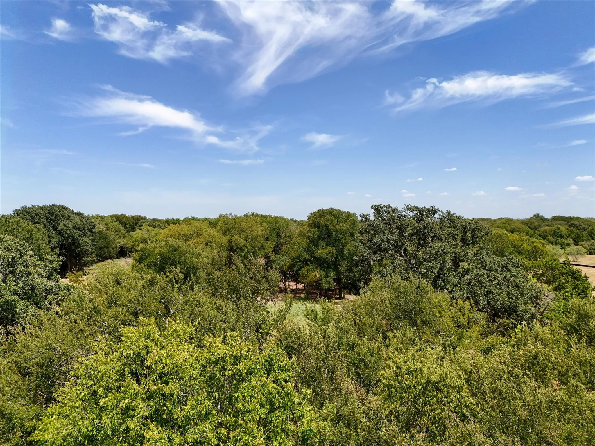 Expansive wooded acreage featuring mature trees and natural terrain