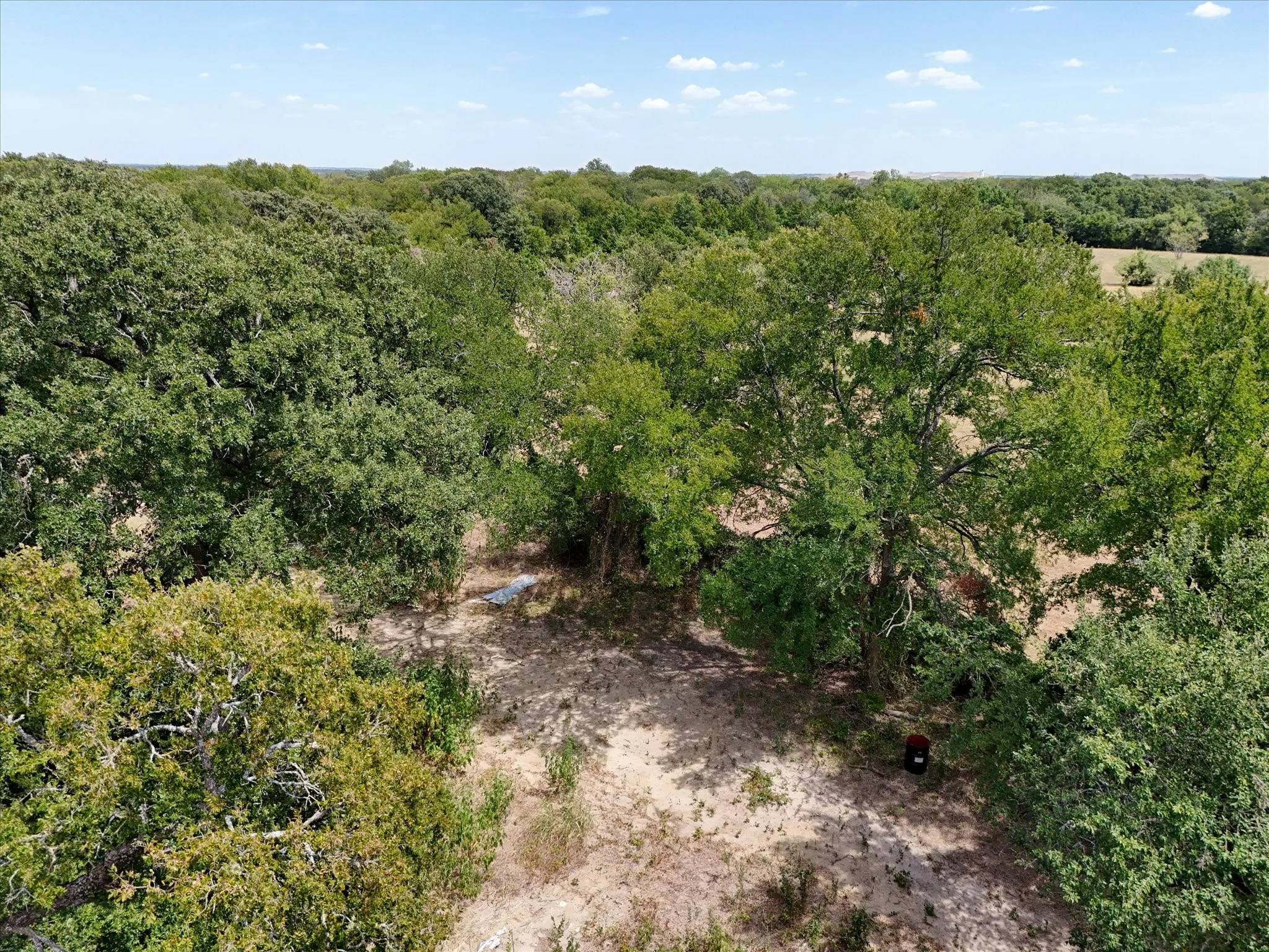 Expansive wooded acreage featuring mature trees and natural terrain