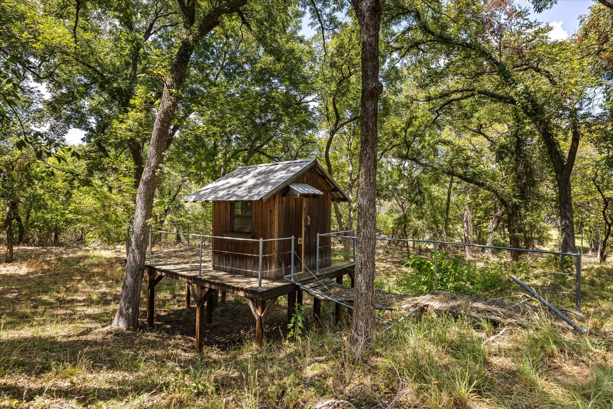 Tree House