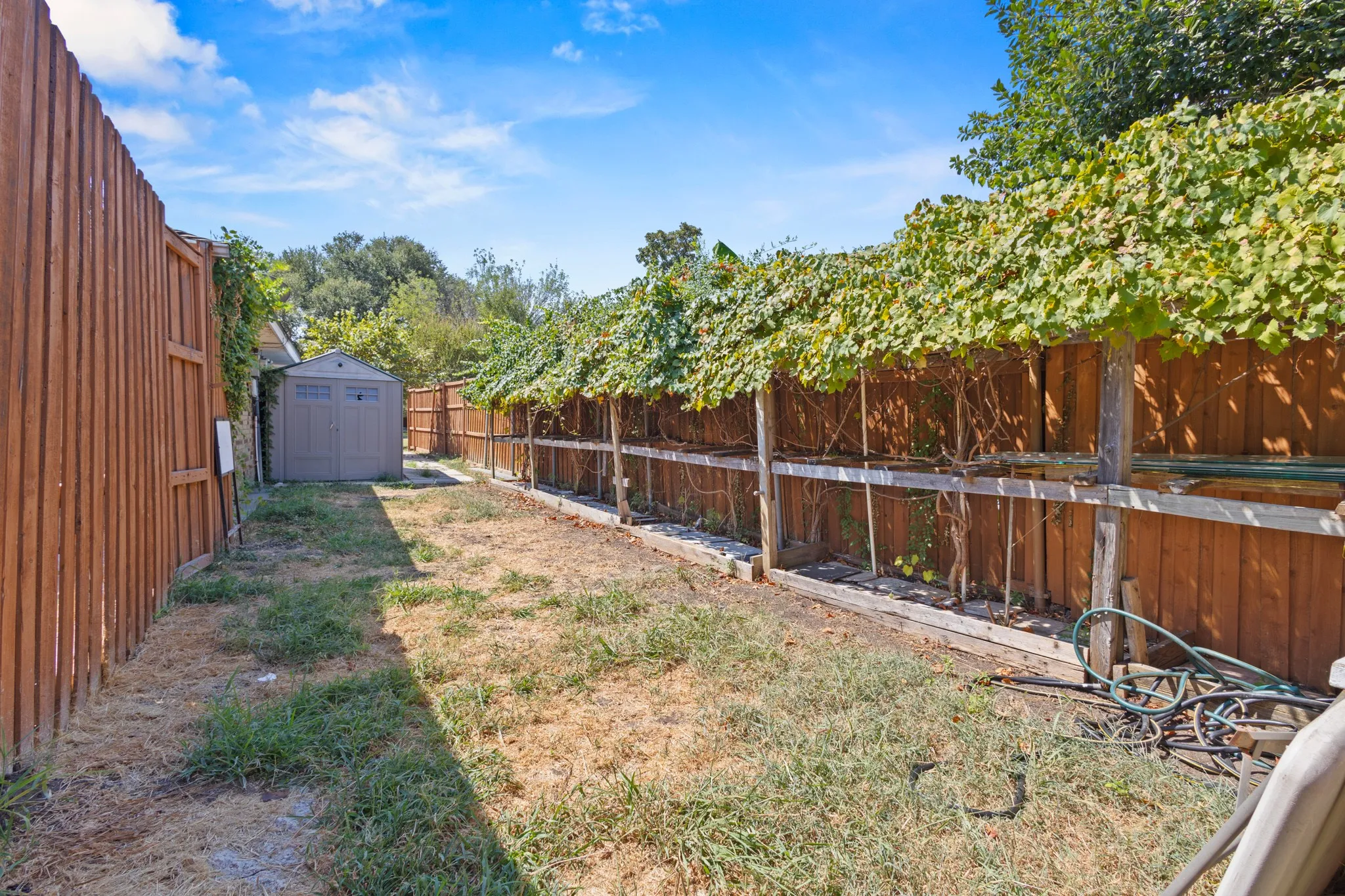 Spacious backyard with mature vine-covered fencing, wood-finish perimeter fencing, established landscaping, and storage structures