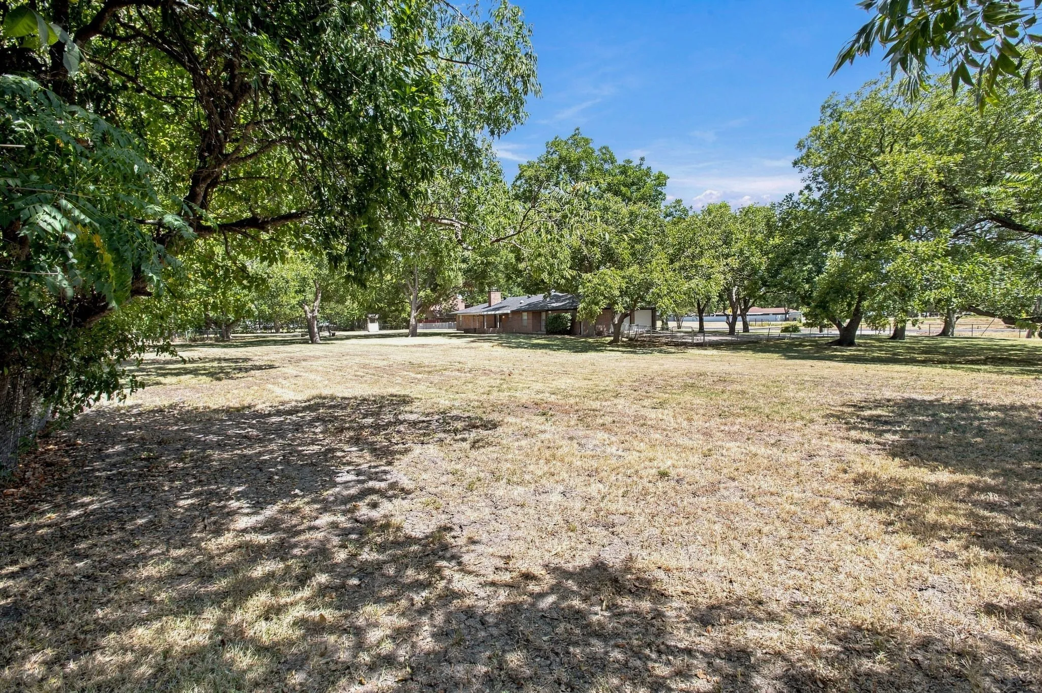 Expansive outdoor space featuring mature pecan trees