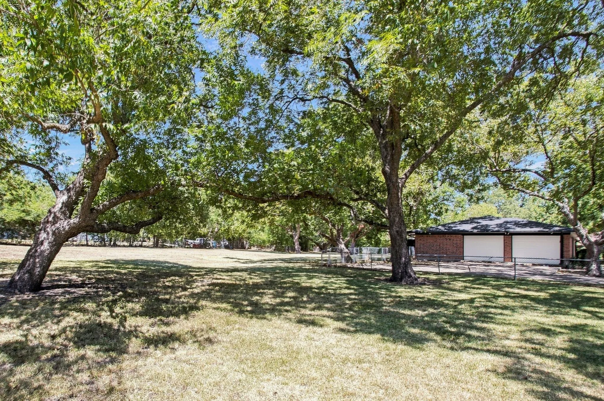 Expansive yard featuring mature pecan trees