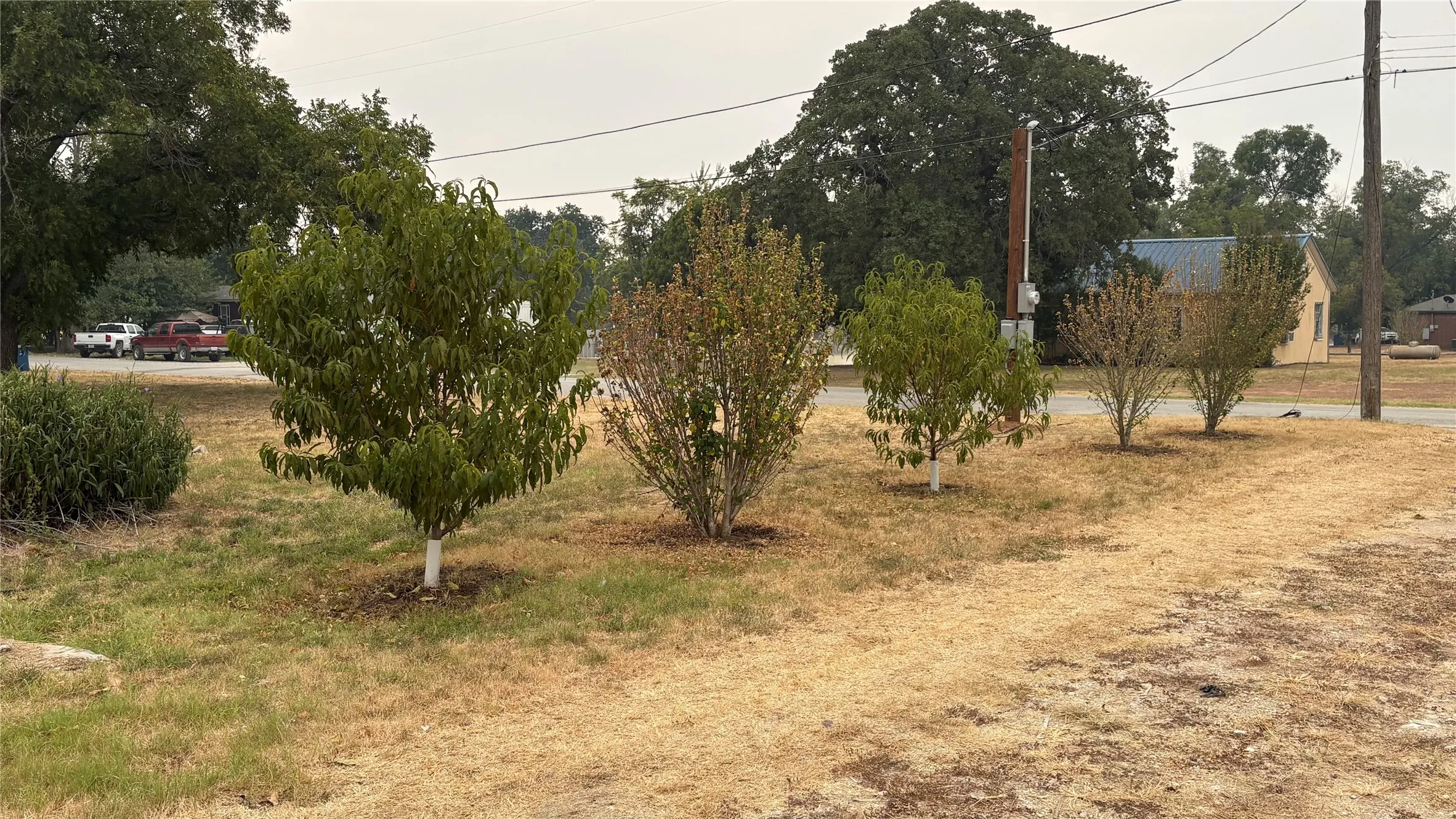 Unimproved Land For Sale in Comanche County , 701 W Manchaca Avenue, De Leon, Texas 76444, 0, 0, Garage spaces, 0 Sqft, built in 0, mls#21369509, Real Estate Agent in De Leon, Homes For Sale in Comanche county, Homes For Sale in De Leon, Realtor in De Leon Texas, Real Estate Brokerage Independent Realty Texas, Luminita Cordes Realtor