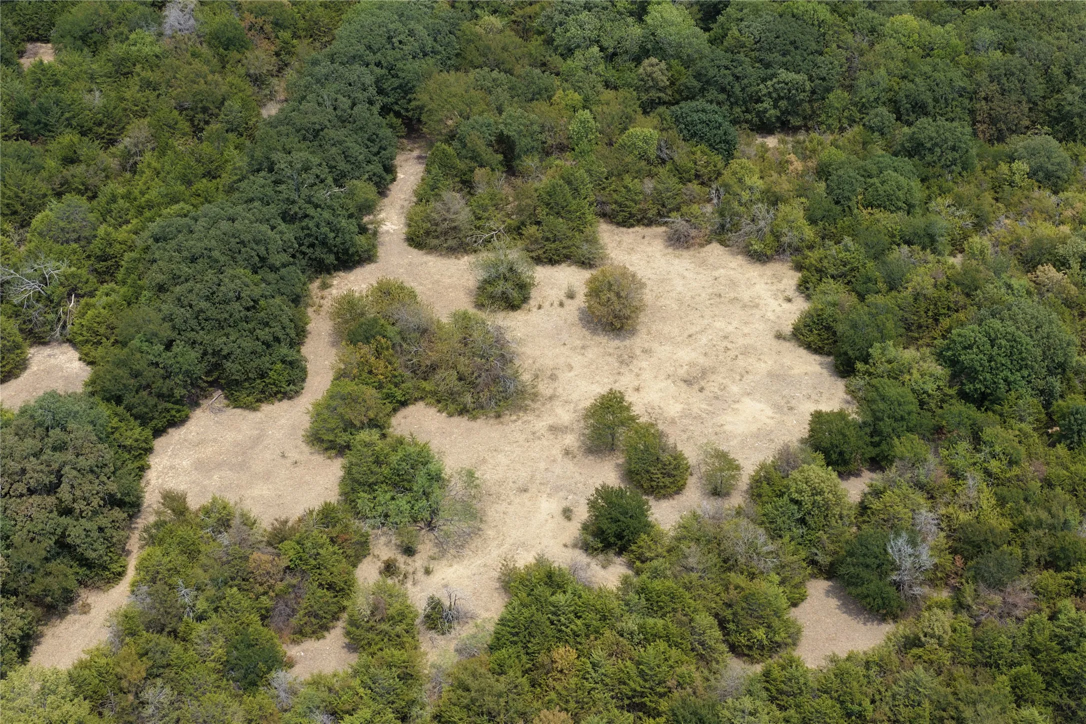 Unimproved Land For Sale in Ellis County , 455 James Road, Ferris, Texas 75125, 0, 0, Garage spaces, 0 Sqft, built in 1920, mls#21370383, Real Estate Agent in Ferris, Homes For Sale in Ellis county, Homes For Sale in Ferris, Realtor in Ferris Texas, Real Estate Brokerage Independent Realty Texas, Luminita Cordes Realtor