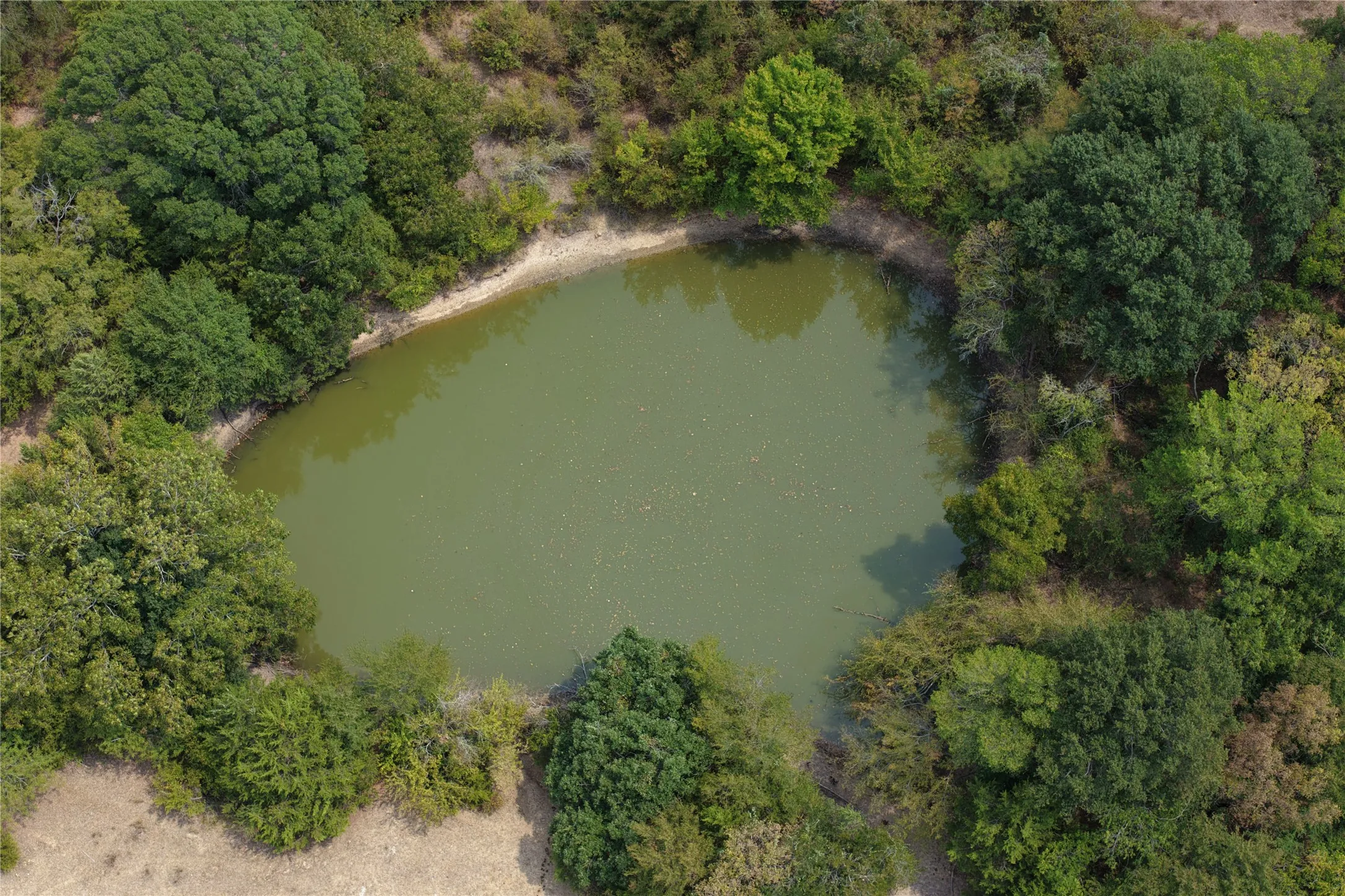 Unimproved Land For Sale in Ellis County , 455 James Road, Ferris, Texas 75125, 0, 0, Garage spaces, 0 Sqft, built in 1920, mls#21370383, Real Estate Agent in Ferris, Homes For Sale in Ellis county, Homes For Sale in Ferris, Realtor in Ferris Texas, Real Estate Brokerage Independent Realty Texas, Luminita Cordes Realtor