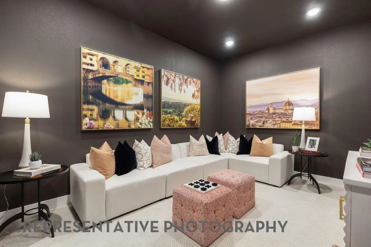 Entertainment Room