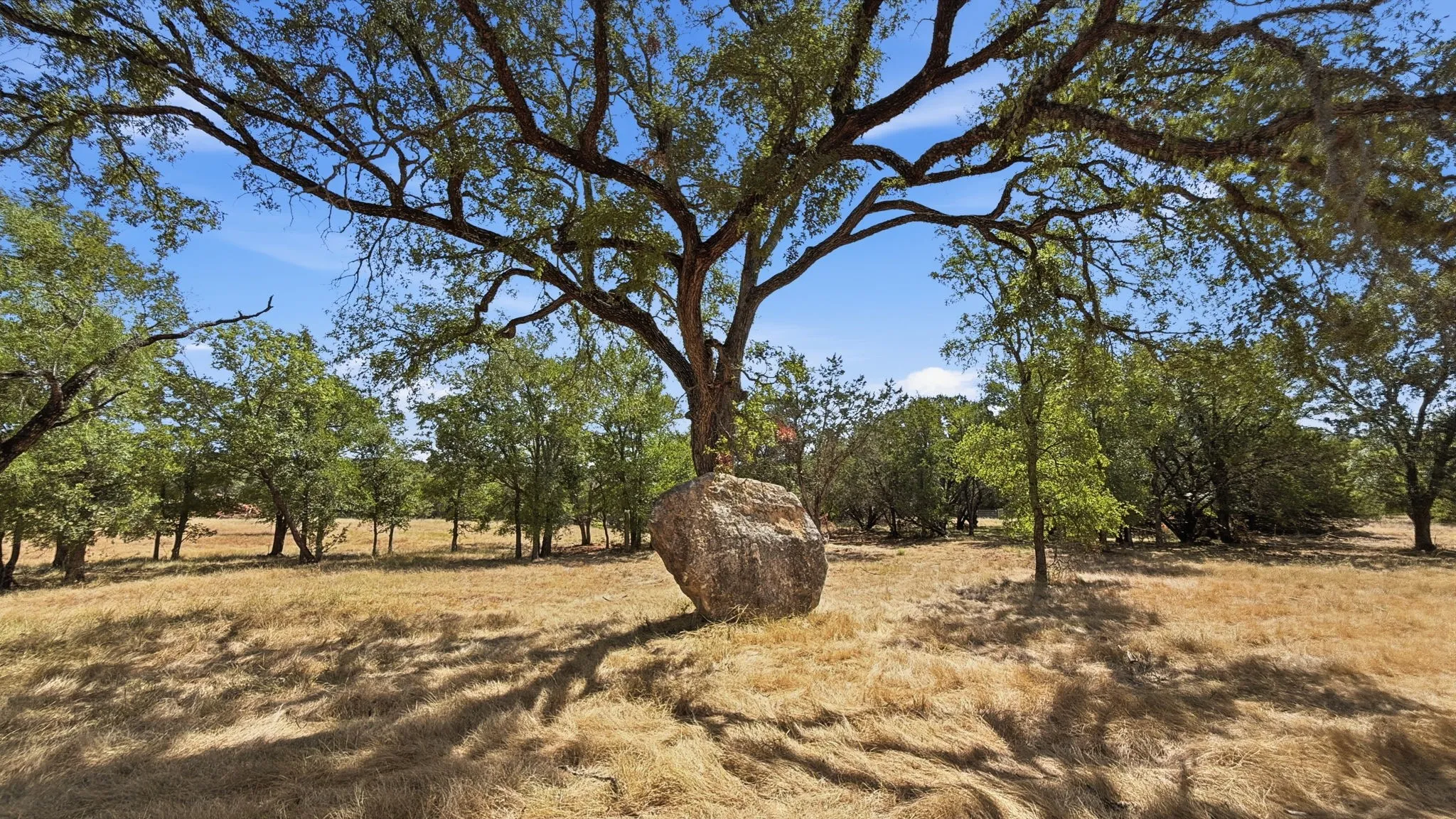 Farm For Sale in Coryell County , 2155 County Road 197, Jonesboro, Texas 76538, 3 Bedroom, 2 Bathroom, Garage spaces, 1,750 Sqft, built in 2025, mls#21369100, Real Estate Agent in Jonesboro, Homes For Sale in Coryell county, Homes For Sale in Jonesboro, Realtor in Jonesboro Texas, Real Estate Brokerage Independent Realty Texas, Luminita Cordes Realtor
