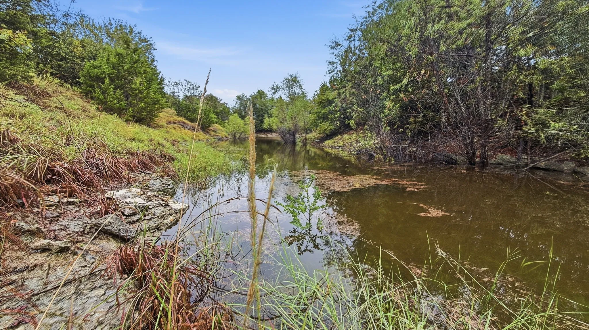 Farm For Sale in Coryell County , 2155 County Road 197, Jonesboro, Texas 76538, 3 Bedroom, 2 Bathroom, Garage spaces, 1,750 Sqft, built in 2025, mls#21369100, Real Estate Agent in Jonesboro, Homes For Sale in Coryell county, Homes For Sale in Jonesboro, Realtor in Jonesboro Texas, Real Estate Brokerage Independent Realty Texas, Luminita Cordes Realtor