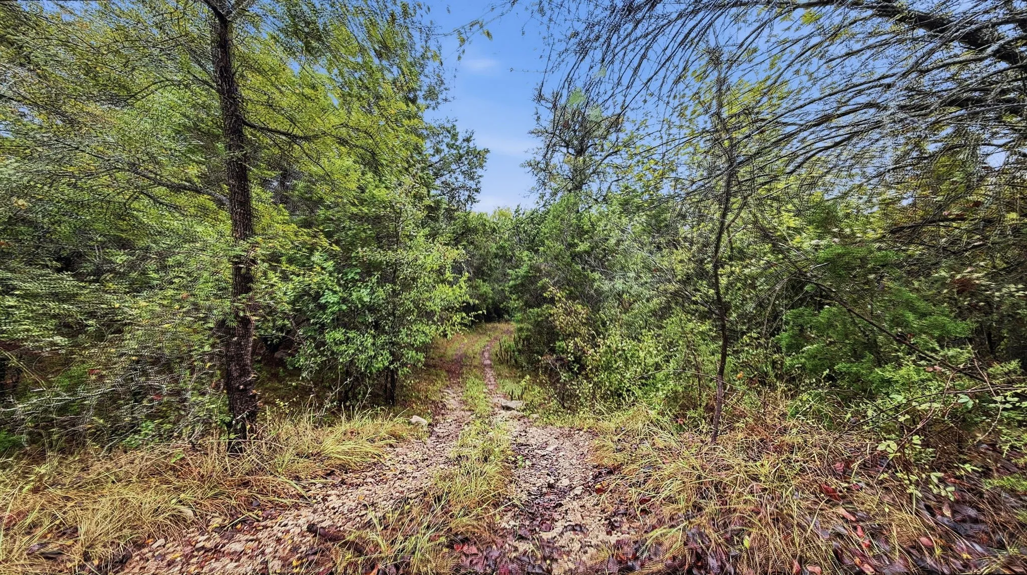 Farm For Sale in Coryell County , 2155 County Road 197, Jonesboro, Texas 76538, 3 Bedroom, 2 Bathroom, Garage spaces, 1,750 Sqft, built in 2025, mls#21369100, Real Estate Agent in Jonesboro, Homes For Sale in Coryell county, Homes For Sale in Jonesboro, Realtor in Jonesboro Texas, Real Estate Brokerage Independent Realty Texas, Luminita Cordes Realtor