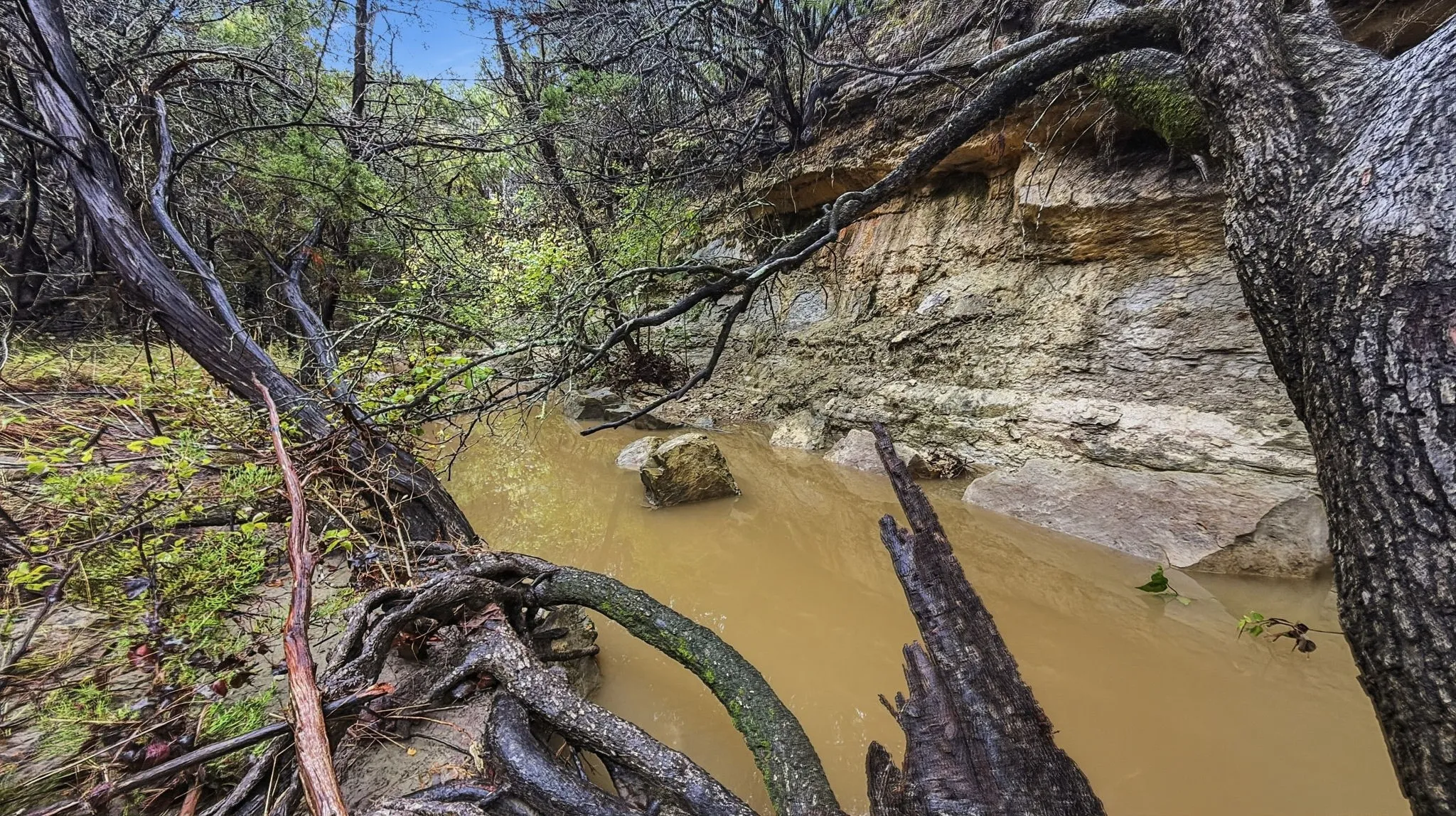 Farm For Sale in Coryell County , 2155 County Road 197, Jonesboro, Texas 76538, 3 Bedroom, 2 Bathroom, Garage spaces, 1,750 Sqft, built in 2025, mls#21369100, Real Estate Agent in Jonesboro, Homes For Sale in Coryell county, Homes For Sale in Jonesboro, Realtor in Jonesboro Texas, Real Estate Brokerage Independent Realty Texas, Luminita Cordes Realtor