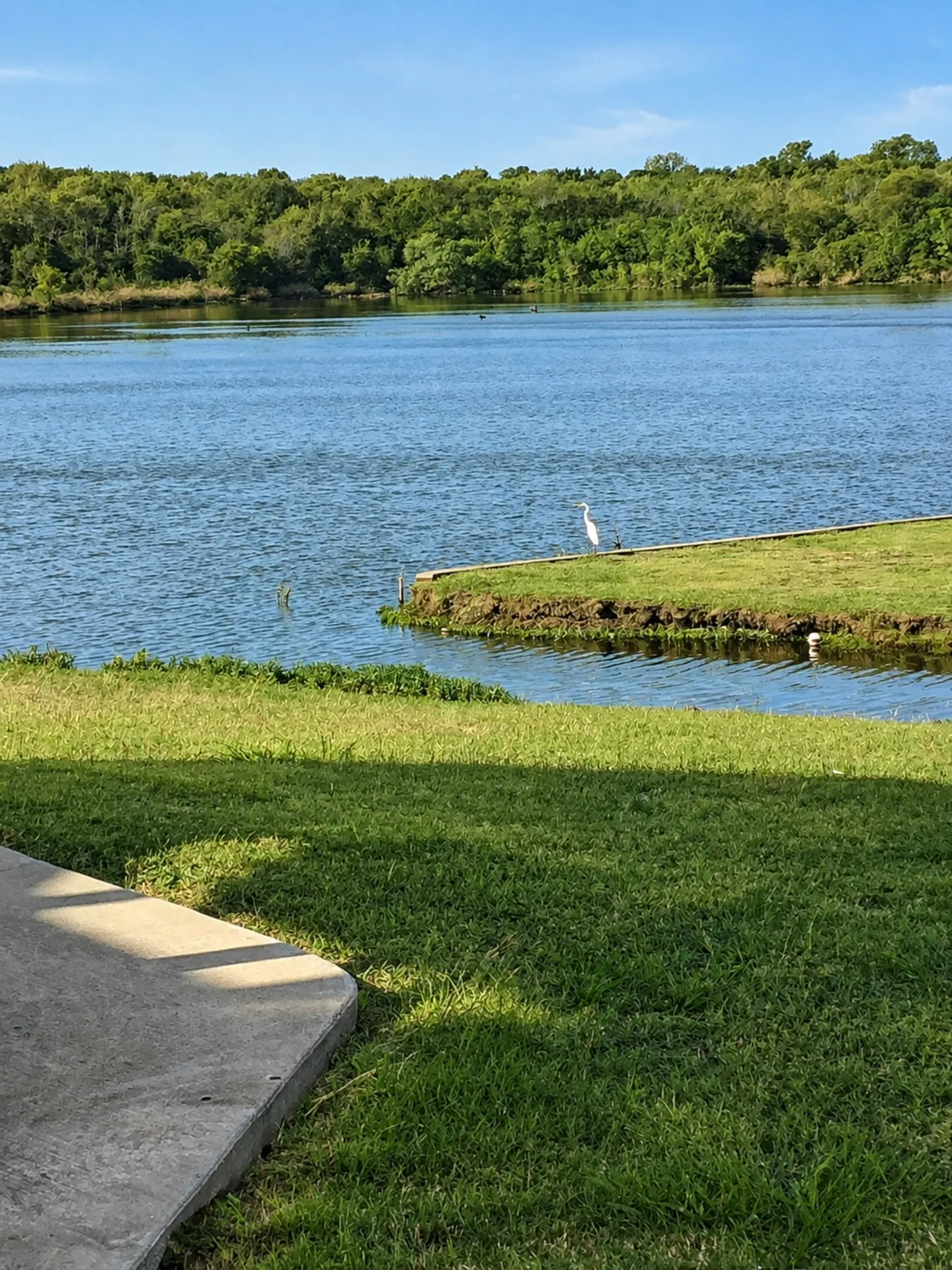 Single Family Residence For Rent in Tarrant County , 10400 Lake Park Drive, Fort Worth, Texas 76053, 4 Bedroom, 2 Bathroom, 2 Garage spaces, 1,925 Sqft, built in 2002, mls#21370403, Real Estate Agent in Fort Worth, Homes For Rent in Tarrant county, Homes For Rent in Fort Worth, Realtor in Fort Worth Texas, Real Estate Brokerage Independent Realty Texas, Luminita Cordes Realtor