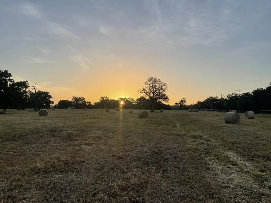 Unimproved Land For Sale in Henderson County , Lot 36 CR 1200, Athens, Texas 75751, 0, 0, Garage spaces, 0 Sqft, built in 0, mls#21370423, Real Estate Agent in Athens, Homes For Sale in Henderson county, Homes For Sale in Athens, Realtor in Athens Texas, Real Estate Brokerage Independent Realty Texas, Luminita Cordes Realtor