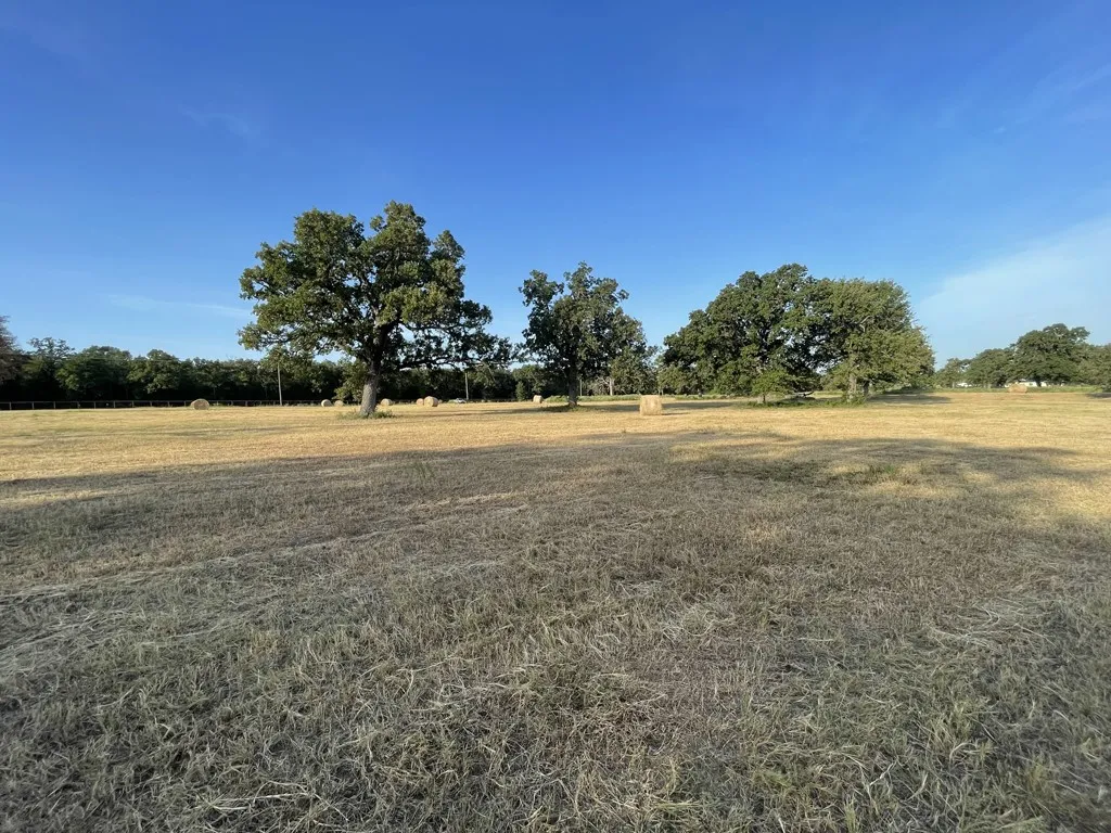 Front pasture