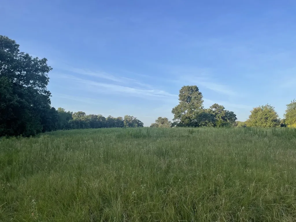 Back Pasture