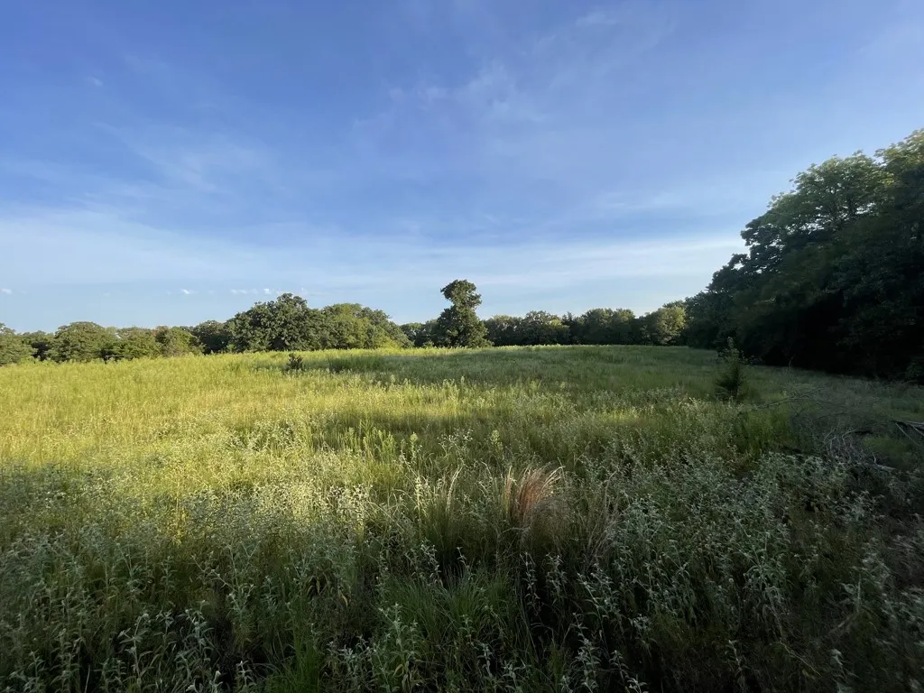 Back Pasture
