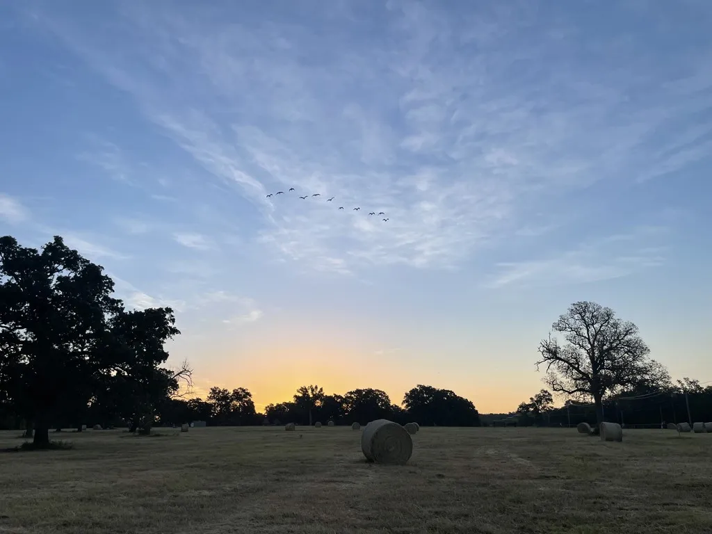 Front Pasture Sunrise