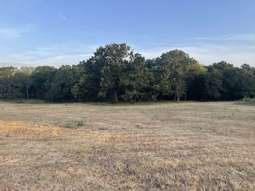Front pasture