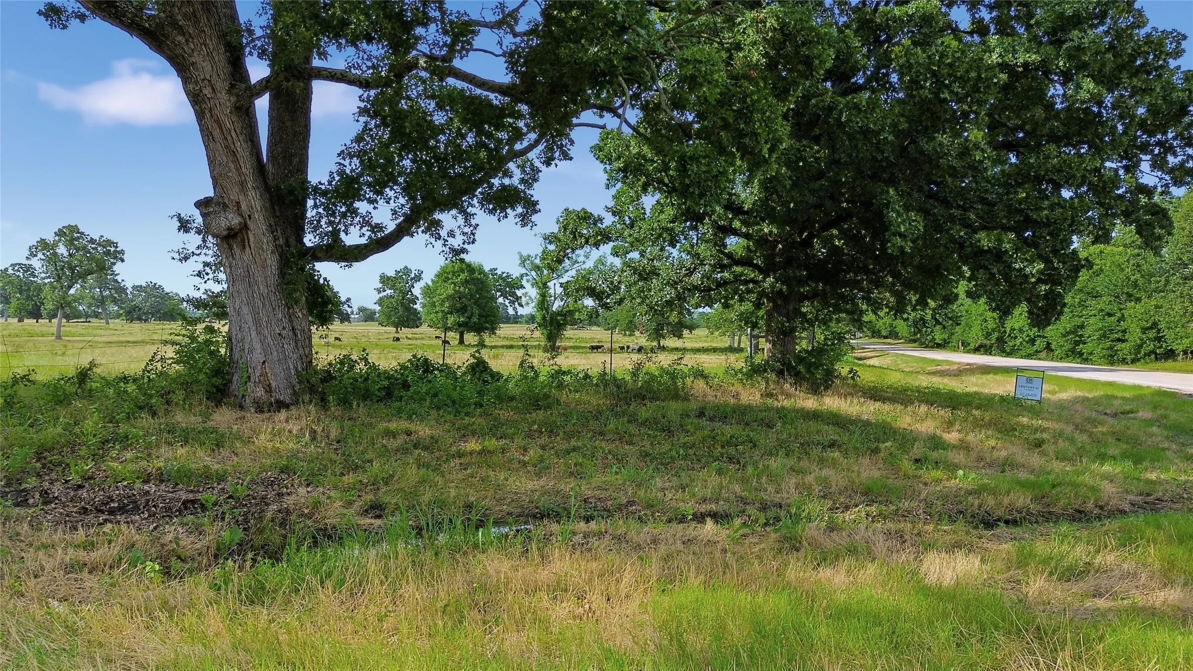 Unimproved Land For Sale in Delta County , TBD Fm 1531, Klondike, Texas 75448, 0, 0, Garage spaces, 0 Sqft, built in 0, mls#21370467, Real Estate Agent in Klondike, Homes For Sale in Delta county, Homes For Sale in Klondike, Realtor in Klondike Texas, Real Estate Brokerage Independent Realty Texas, Luminita Cordes Realtor
