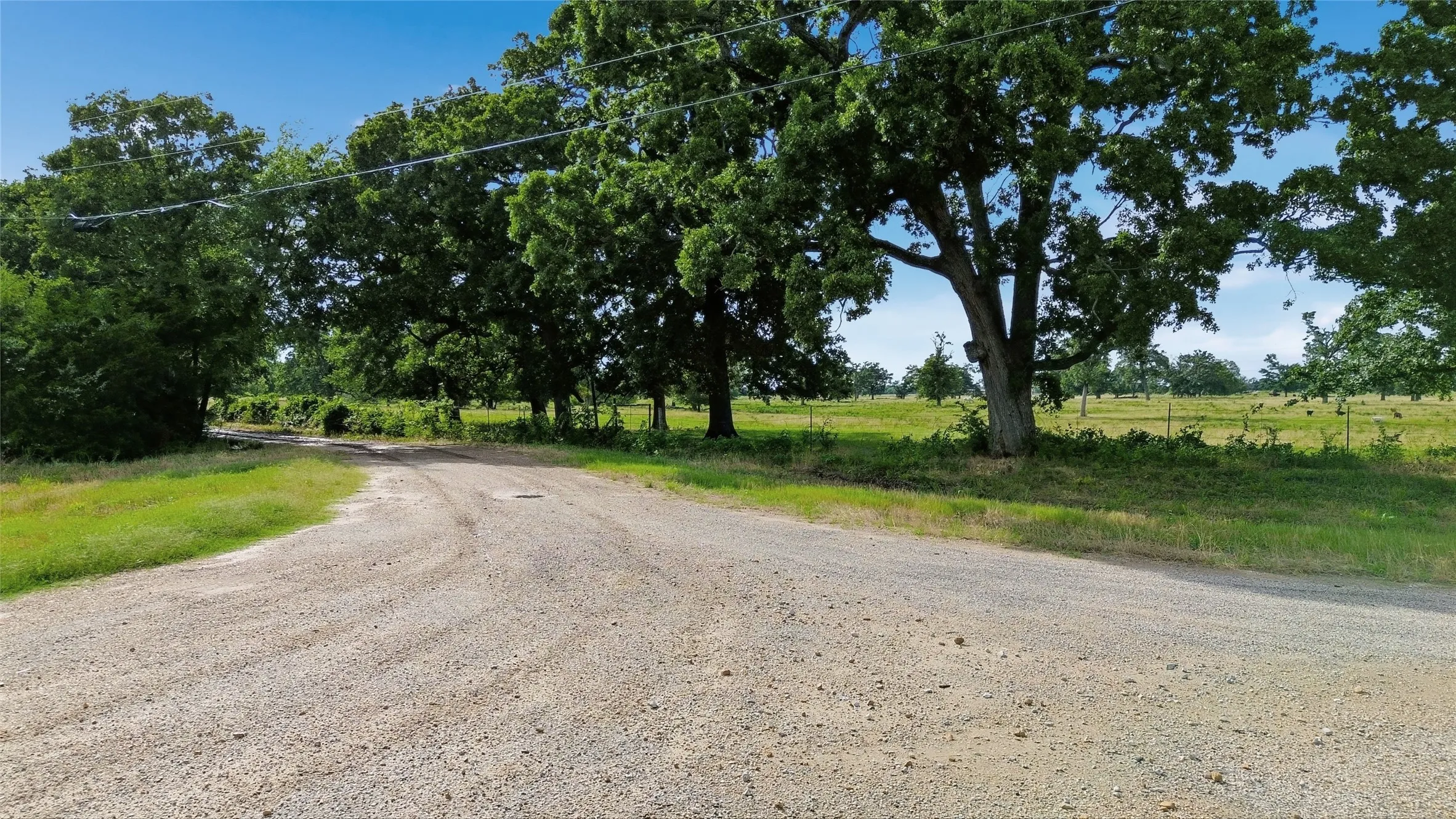 Unimproved Land For Sale in Delta County , TBD Fm 1531, Klondike, Texas 75448, 0, 0, Garage spaces, 0 Sqft, built in 0, mls#21370467, Real Estate Agent in Klondike, Homes For Sale in Delta county, Homes For Sale in Klondike, Realtor in Klondike Texas, Real Estate Brokerage Independent Realty Texas, Luminita Cordes Realtor