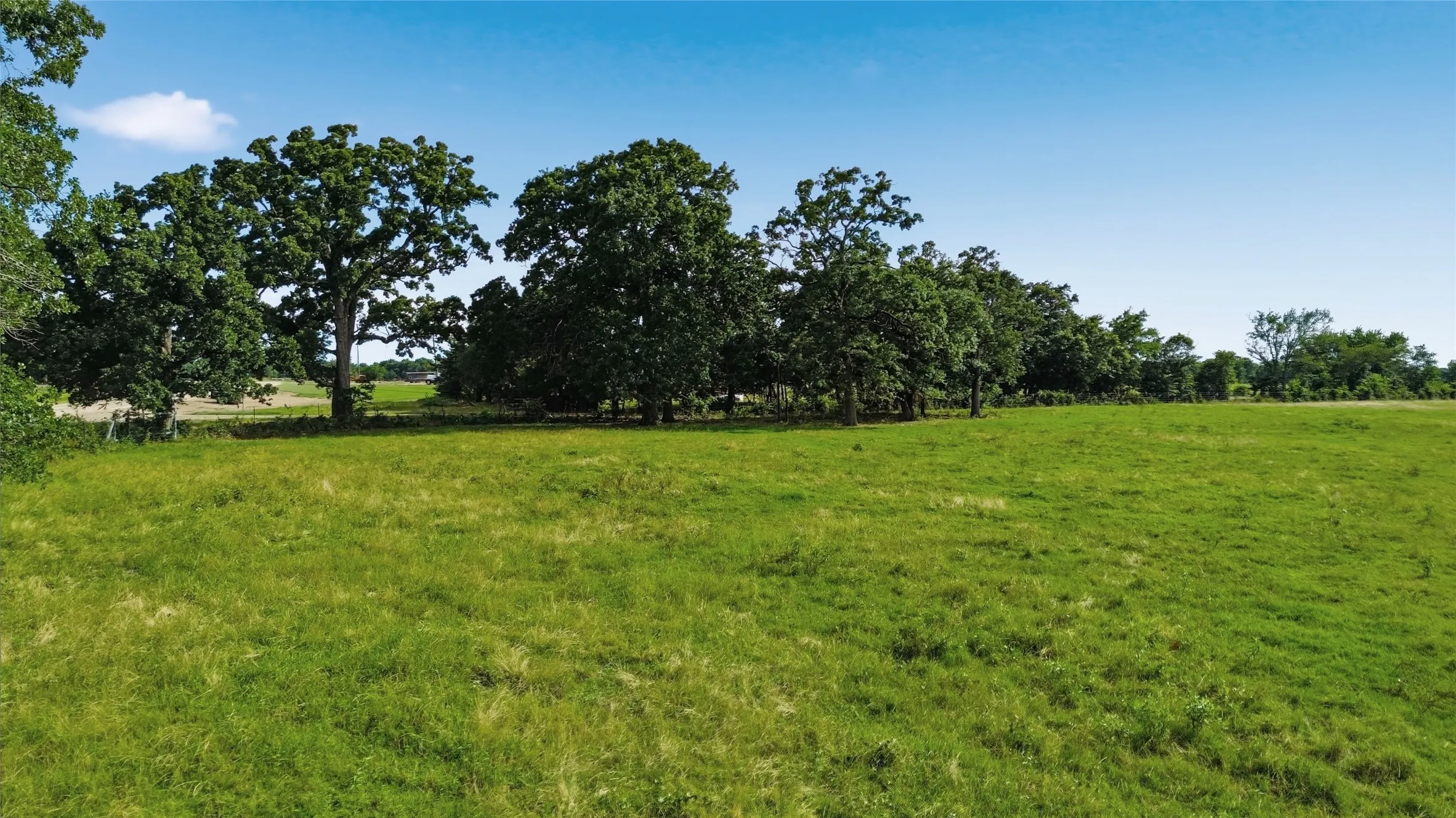 Unimproved Land For Sale in Delta County , TBD Fm 1531, Klondike, Texas 75448, 0, 0, Garage spaces, 0 Sqft, built in 0, mls#21370467, Real Estate Agent in Klondike, Homes For Sale in Delta county, Homes For Sale in Klondike, Realtor in Klondike Texas, Real Estate Brokerage Independent Realty Texas, Luminita Cordes Realtor