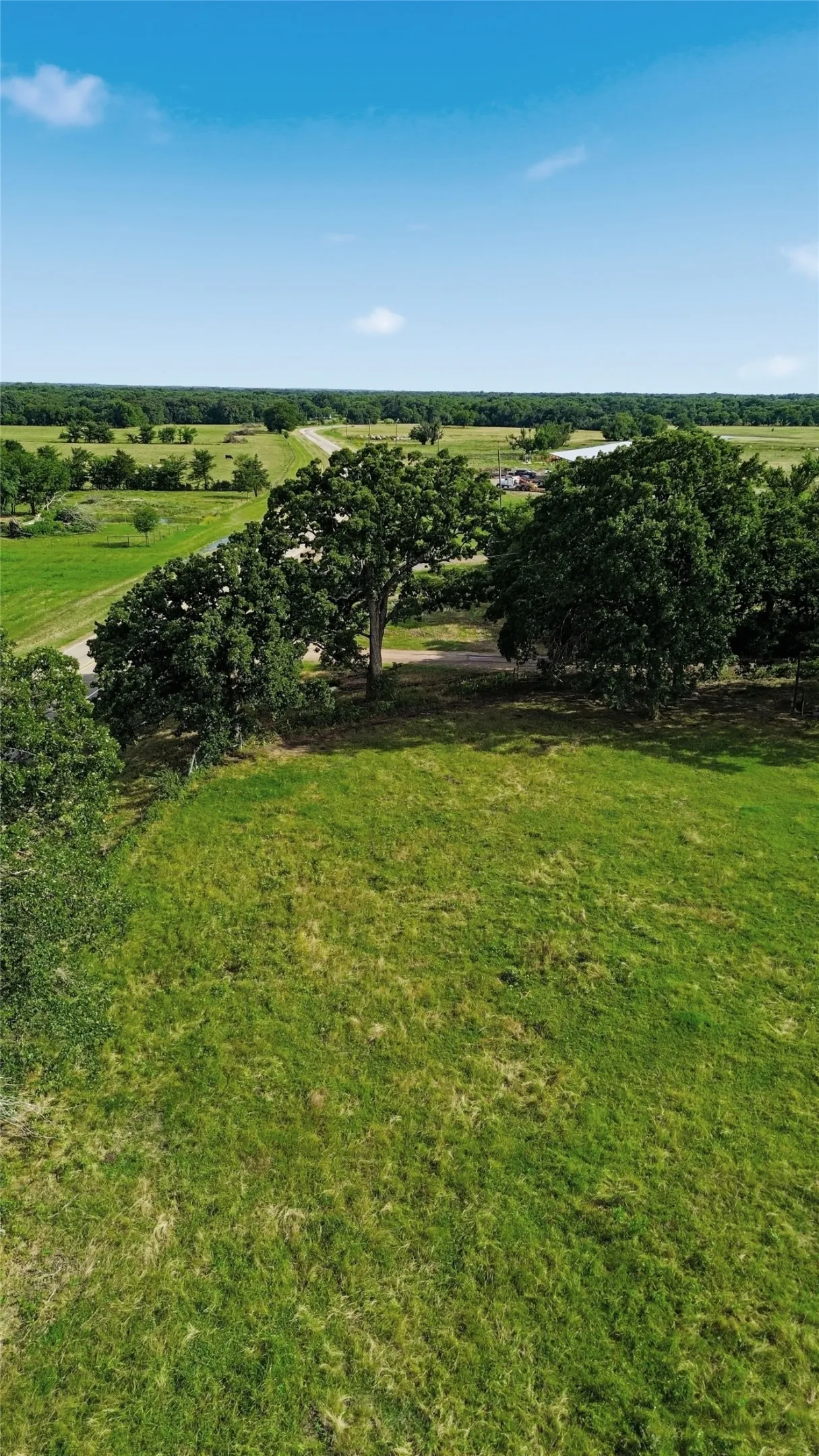 Unimproved Land For Sale in Delta County , TBD Fm 1531, Klondike, Texas 75448, 0, 0, Garage spaces, 0 Sqft, built in 0, mls#21370467, Real Estate Agent in Klondike, Homes For Sale in Delta county, Homes For Sale in Klondike, Realtor in Klondike Texas, Real Estate Brokerage Independent Realty Texas, Luminita Cordes Realtor