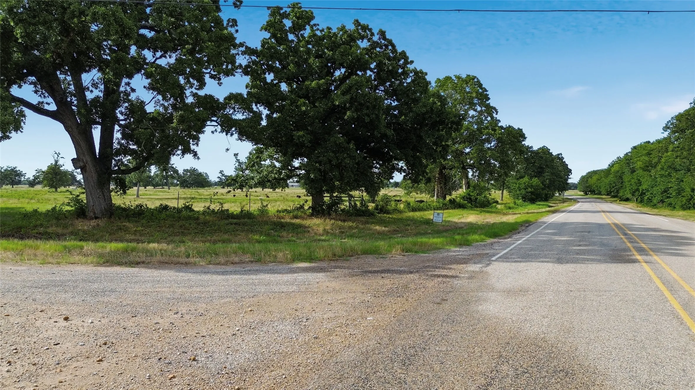 Unimproved Land For Sale in Delta County , TBD Fm 1531, Klondike, Texas 75448, 0, 0, Garage spaces, 0 Sqft, built in 0, mls#21370467, Real Estate Agent in Klondike, Homes For Sale in Delta county, Homes For Sale in Klondike, Realtor in Klondike Texas, Real Estate Brokerage Independent Realty Texas, Luminita Cordes Realtor