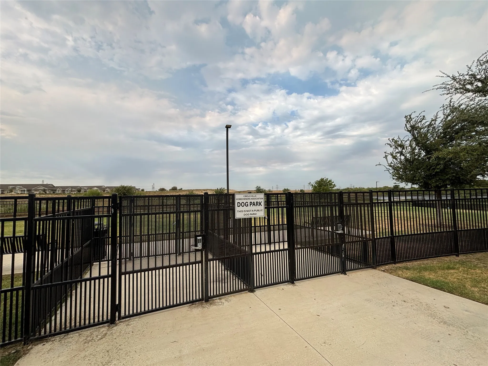 Dog Park
