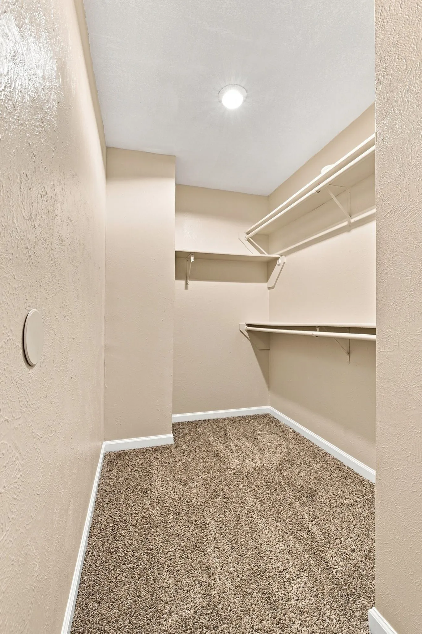 Recessed ceiling light, built-in shelving, built-in clothing rods, and carpeting