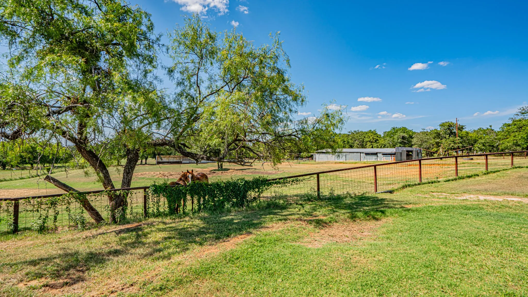 Single Family Residence For Sale in Hood County , 1710 Rock Church Highway, Tolar, Texas 76476, 4 Bedroom, 3 Bathroom, 2 Garage spaces, 1,971 Sqft, built in 1986, mls#21370126, Real Estate Agent in Tolar, Homes For Sale in Hood county, Homes For Sale in Tolar, Realtor in Tolar Texas, Real Estate Brokerage Independent Realty Texas, Luminita Cordes Realtor