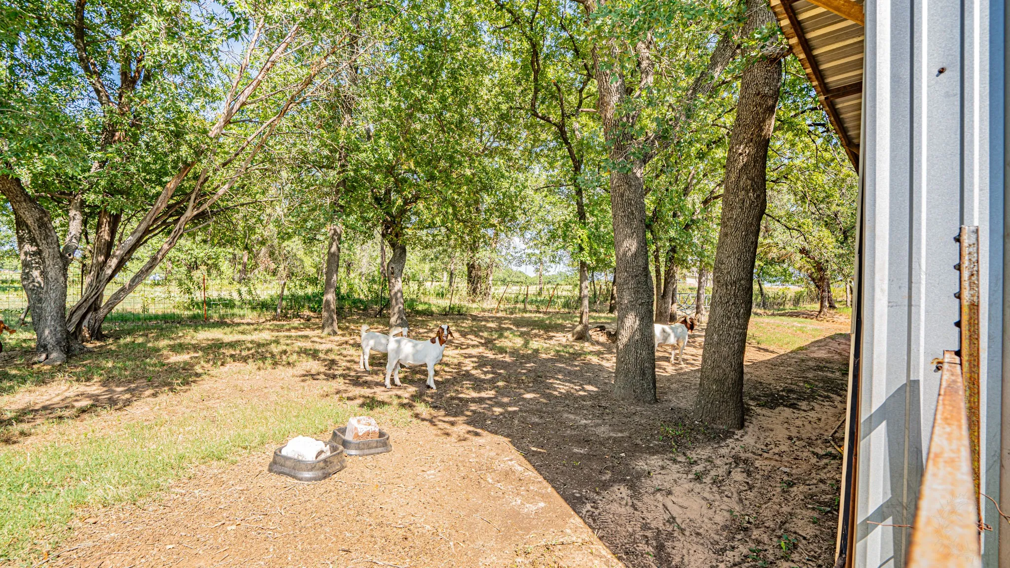 Single Family Residence For Sale in Hood County , 1710 Rock Church Highway, Tolar, Texas 76476, 4 Bedroom, 3 Bathroom, 2 Garage spaces, 1,971 Sqft, built in 1986, mls#21370126, Real Estate Agent in Tolar, Homes For Sale in Hood county, Homes For Sale in Tolar, Realtor in Tolar Texas, Real Estate Brokerage Independent Realty Texas, Luminita Cordes Realtor
