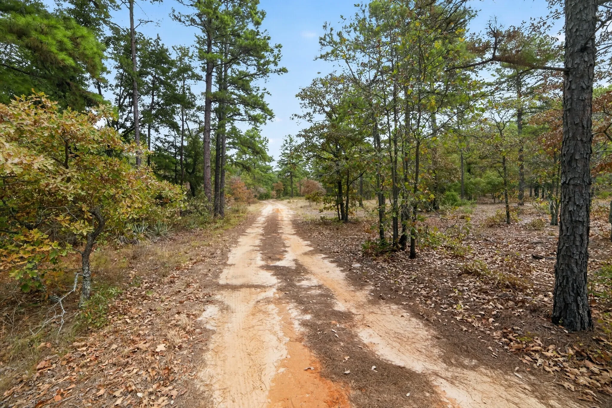 Ranch For Sale in Wood County , 4079 S Farm To Market 2869 Road, Hawkins, Texas 75765, 0, 0, Garage spaces, 0 Sqft, built in 0, mls#21370385, Real Estate Agent in Hawkins, Homes For Sale in Wood county, Homes For Sale in Hawkins, Realtor in Hawkins Texas, Real Estate Brokerage Independent Realty Texas, Luminita Cordes Realtor