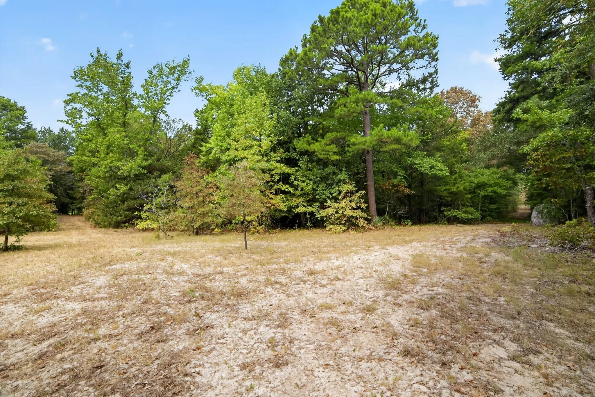 Ranch For Sale in Wood County , 4079 S Farm To Market 2869 Road, Hawkins, Texas 75765, 0, 0, Garage spaces, 0 Sqft, built in 0, mls#21370385, Real Estate Agent in Hawkins, Homes For Sale in Wood county, Homes For Sale in Hawkins, Realtor in Hawkins Texas, Real Estate Brokerage Independent Realty Texas, Luminita Cordes Realtor