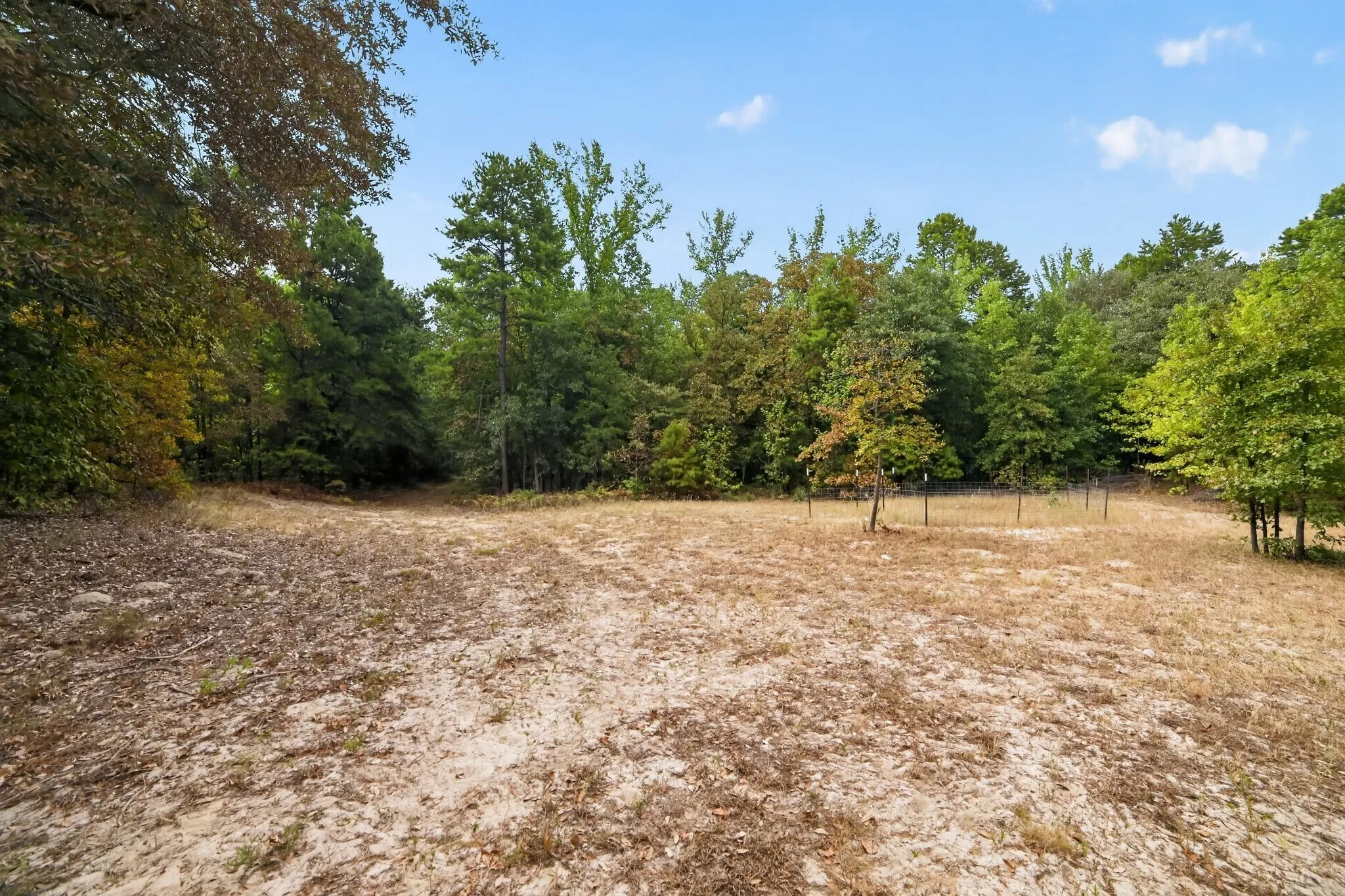 Ranch For Sale in Wood County , 4079 S Farm To Market 2869 Road, Hawkins, Texas 75765, 0, 0, Garage spaces, 0 Sqft, built in 0, mls#21370385, Real Estate Agent in Hawkins, Homes For Sale in Wood county, Homes For Sale in Hawkins, Realtor in Hawkins Texas, Real Estate Brokerage Independent Realty Texas, Luminita Cordes Realtor