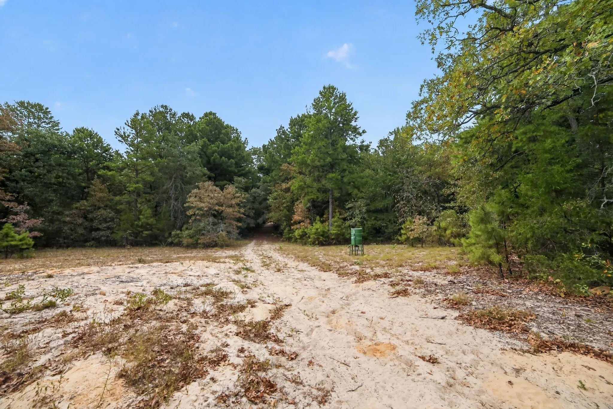 Ranch For Sale in Wood County , 4079 S Farm To Market 2869 Road, Hawkins, Texas 75765, 0, 0, Garage spaces, 0 Sqft, built in 0, mls#21370385, Real Estate Agent in Hawkins, Homes For Sale in Wood county, Homes For Sale in Hawkins, Realtor in Hawkins Texas, Real Estate Brokerage Independent Realty Texas, Luminita Cordes Realtor