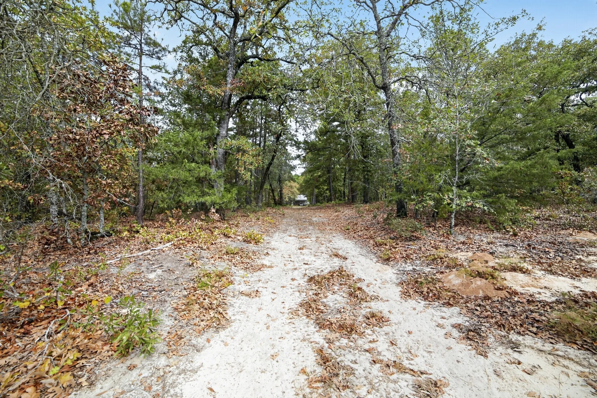 Ranch For Sale in Wood County , 4079 S Farm To Market 2869 Road, Hawkins, Texas 75765, 0, 0, Garage spaces, 0 Sqft, built in 0, mls#21370385, Real Estate Agent in Hawkins, Homes For Sale in Wood county, Homes For Sale in Hawkins, Realtor in Hawkins Texas, Real Estate Brokerage Independent Realty Texas, Luminita Cordes Realtor