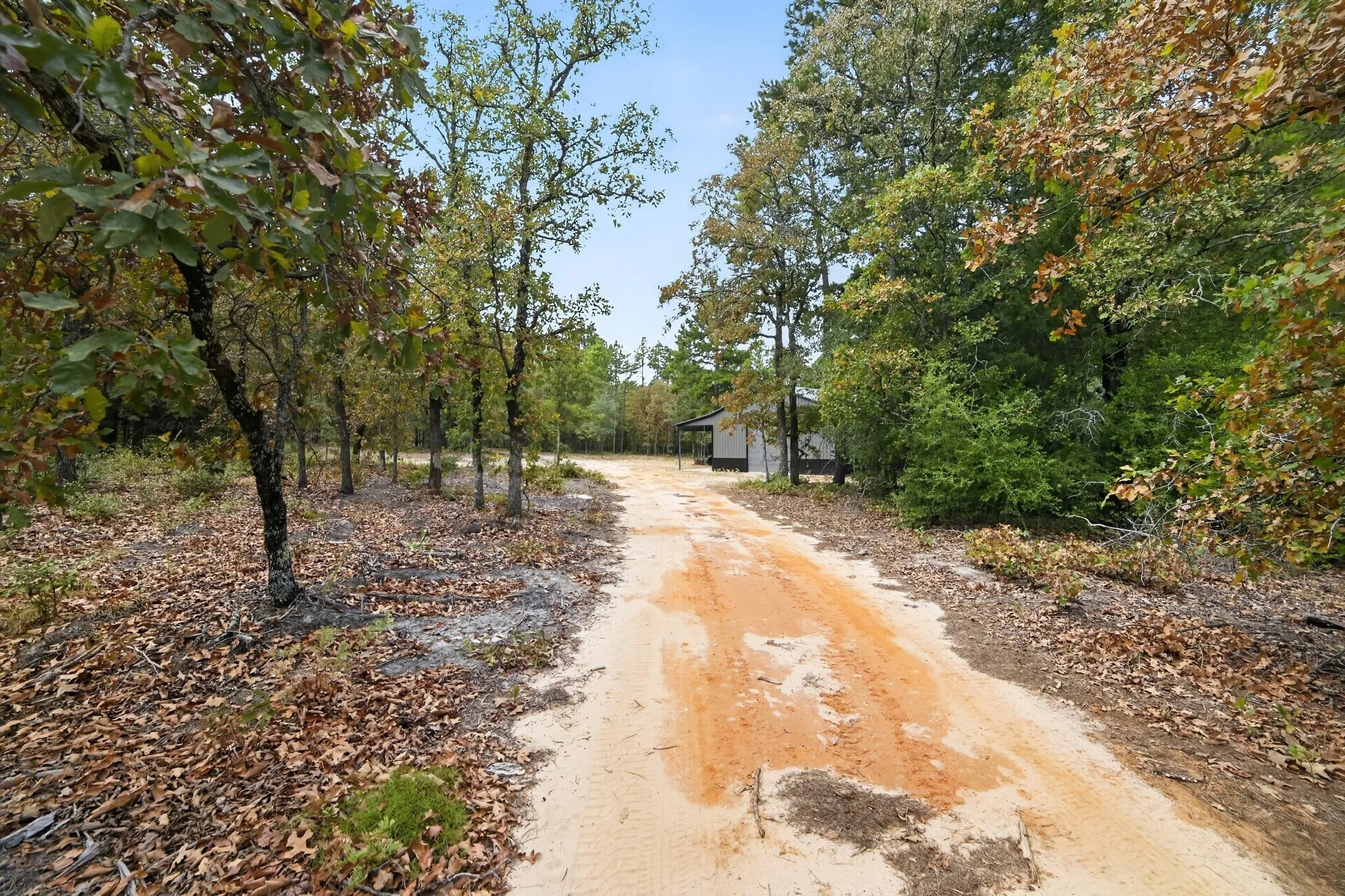 Ranch For Sale in Wood County , 4079 S Farm To Market 2869 Road, Hawkins, Texas 75765, 0, 0, Garage spaces, 0 Sqft, built in 0, mls#21370385, Real Estate Agent in Hawkins, Homes For Sale in Wood county, Homes For Sale in Hawkins, Realtor in Hawkins Texas, Real Estate Brokerage Independent Realty Texas, Luminita Cordes Realtor