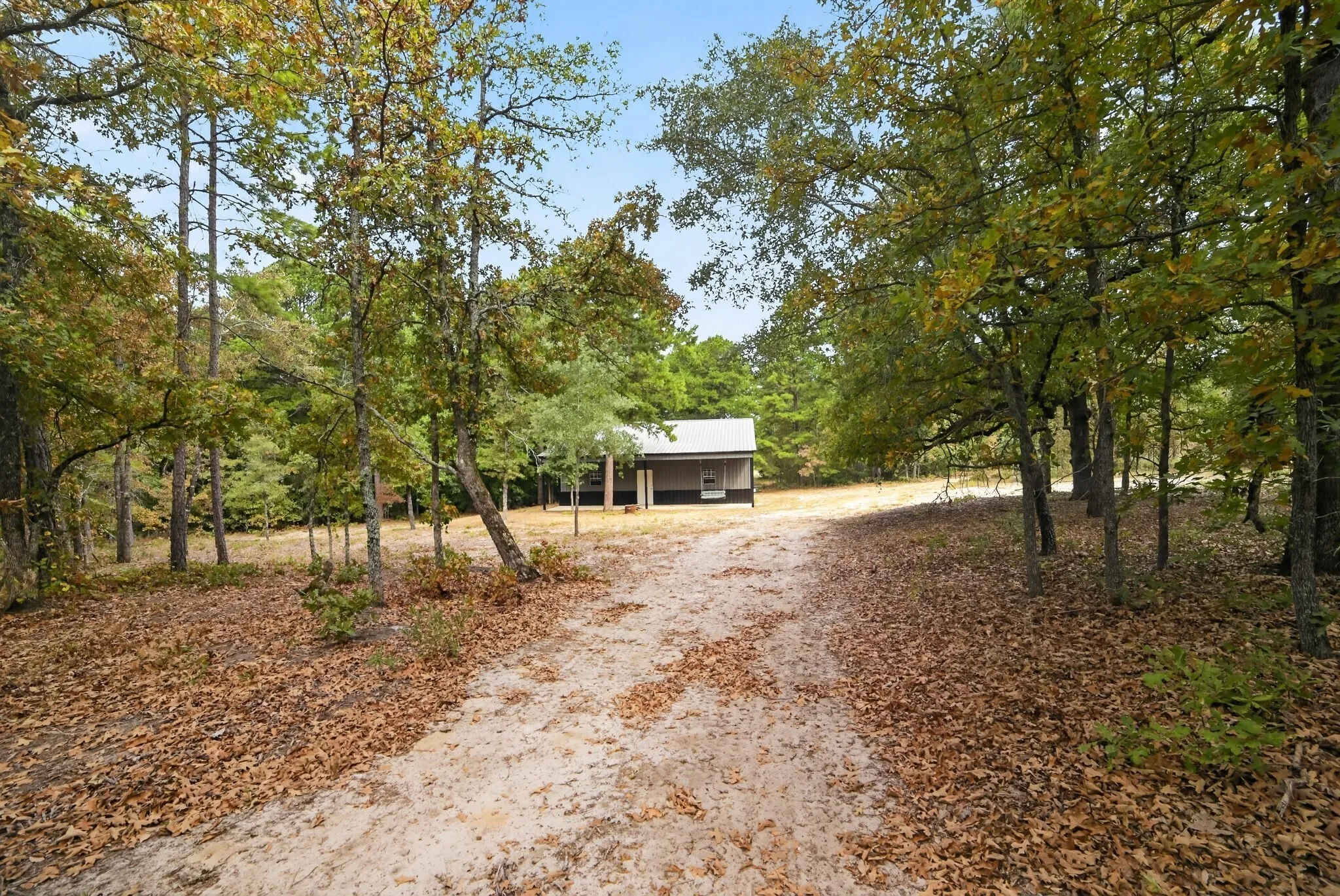 Ranch For Sale in Wood County , 4079 S Farm To Market 2869 Road, Hawkins, Texas 75765, 0, 0, Garage spaces, 0 Sqft, built in 0, mls#21370385, Real Estate Agent in Hawkins, Homes For Sale in Wood county, Homes For Sale in Hawkins, Realtor in Hawkins Texas, Real Estate Brokerage Independent Realty Texas, Luminita Cordes Realtor