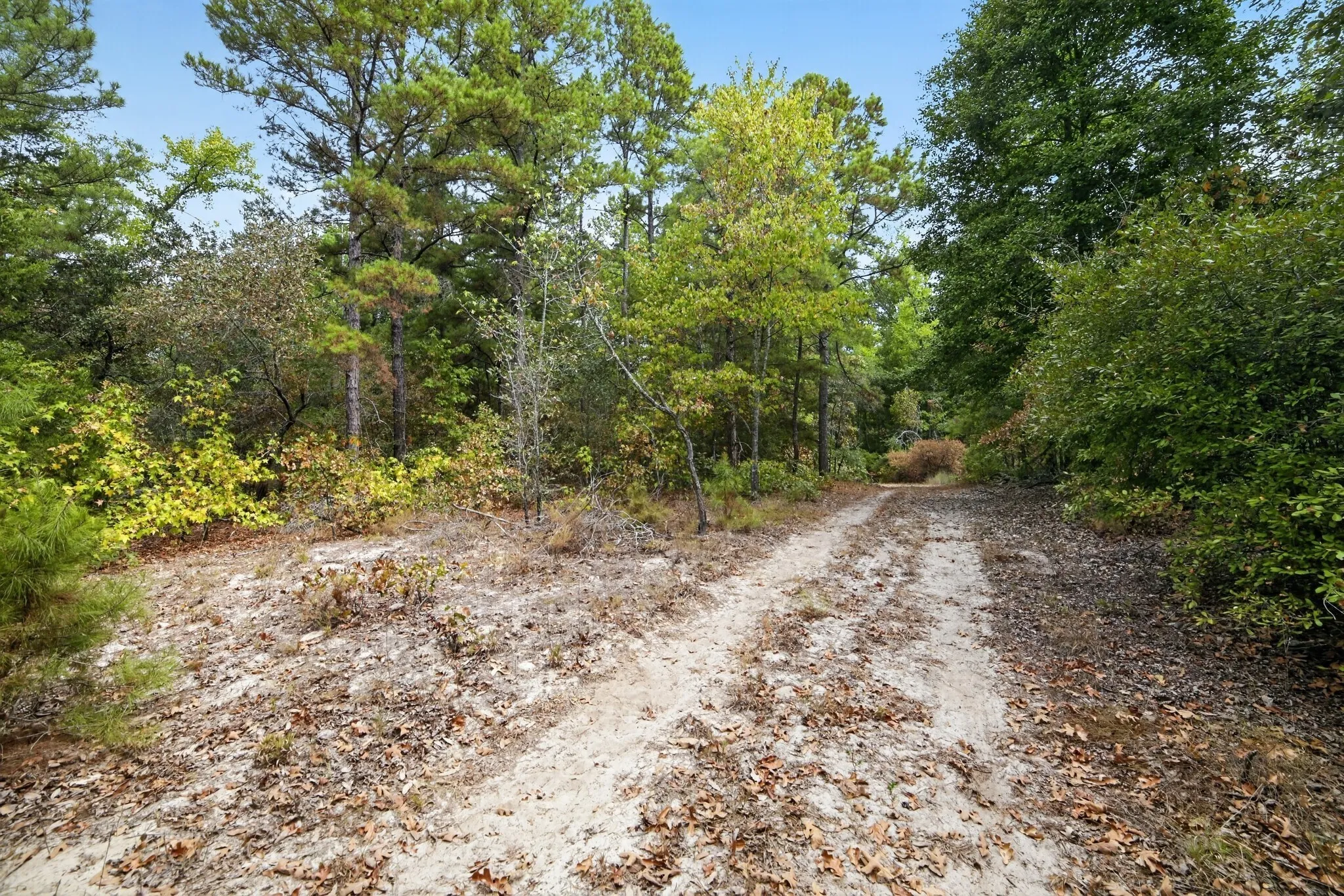 Ranch For Sale in Wood County , 4079 S Farm To Market 2869 Road, Hawkins, Texas 75765, 0, 0, Garage spaces, 0 Sqft, built in 0, mls#21370385, Real Estate Agent in Hawkins, Homes For Sale in Wood county, Homes For Sale in Hawkins, Realtor in Hawkins Texas, Real Estate Brokerage Independent Realty Texas, Luminita Cordes Realtor