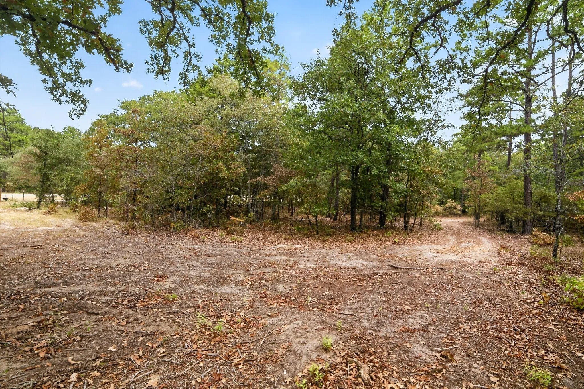 Ranch For Sale in Wood County , 4079 S Farm To Market 2869 Road, Hawkins, Texas 75765, 0, 0, Garage spaces, 0 Sqft, built in 0, mls#21370385, Real Estate Agent in Hawkins, Homes For Sale in Wood county, Homes For Sale in Hawkins, Realtor in Hawkins Texas, Real Estate Brokerage Independent Realty Texas, Luminita Cordes Realtor