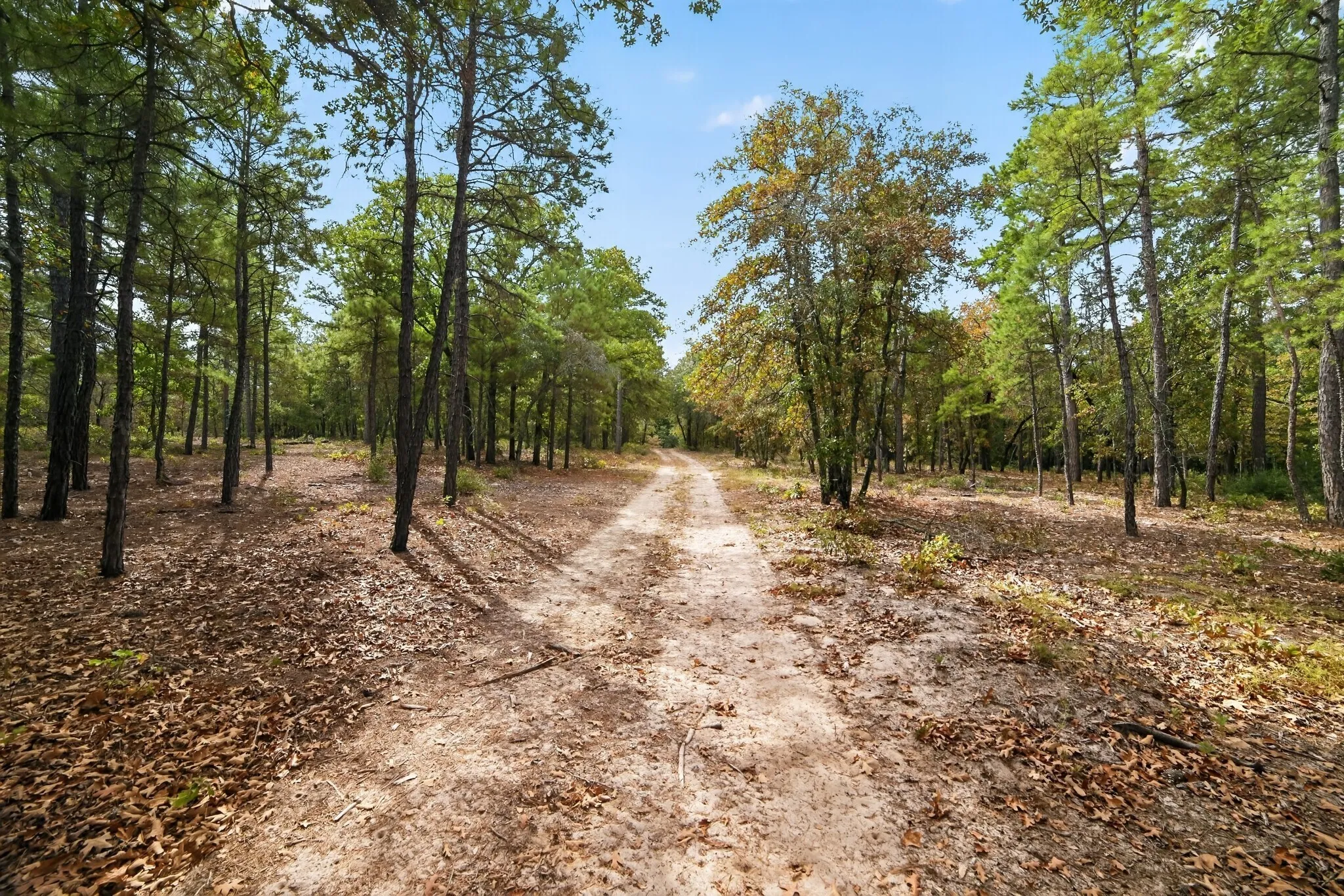 Ranch For Sale in Wood County , 4079 S Farm To Market 2869 Road, Hawkins, Texas 75765, 0, 0, Garage spaces, 0 Sqft, built in 0, mls#21370385, Real Estate Agent in Hawkins, Homes For Sale in Wood county, Homes For Sale in Hawkins, Realtor in Hawkins Texas, Real Estate Brokerage Independent Realty Texas, Luminita Cordes Realtor