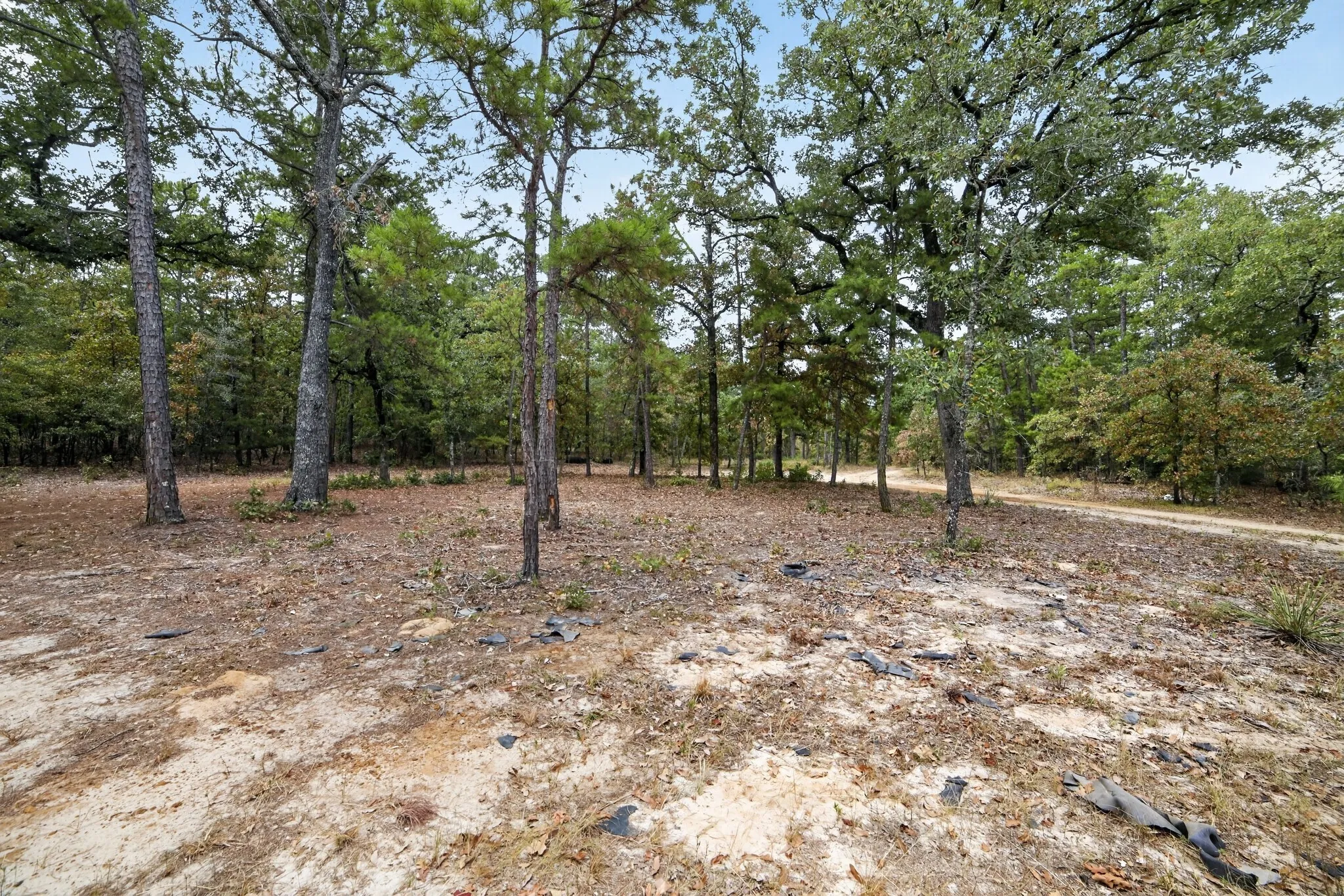 Ranch For Sale in Wood County , 4079 S Farm To Market 2869 Road, Hawkins, Texas 75765, 0, 0, Garage spaces, 0 Sqft, built in 0, mls#21370385, Real Estate Agent in Hawkins, Homes For Sale in Wood county, Homes For Sale in Hawkins, Realtor in Hawkins Texas, Real Estate Brokerage Independent Realty Texas, Luminita Cordes Realtor