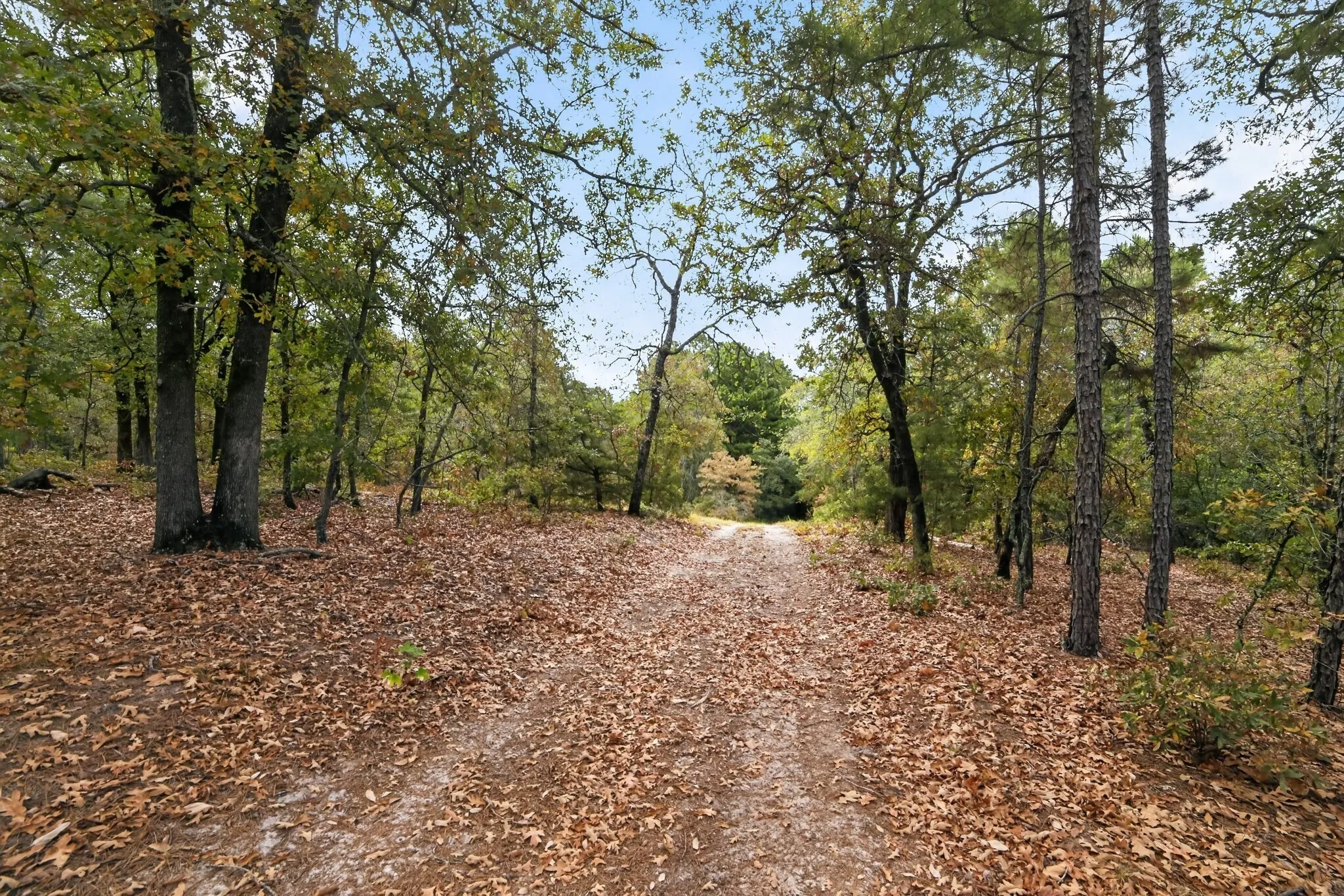 Ranch For Sale in Wood County , 4079 S Farm To Market 2869 Road, Hawkins, Texas 75765, 0, 0, Garage spaces, 0 Sqft, built in 0, mls#21370385, Real Estate Agent in Hawkins, Homes For Sale in Wood county, Homes For Sale in Hawkins, Realtor in Hawkins Texas, Real Estate Brokerage Independent Realty Texas, Luminita Cordes Realtor