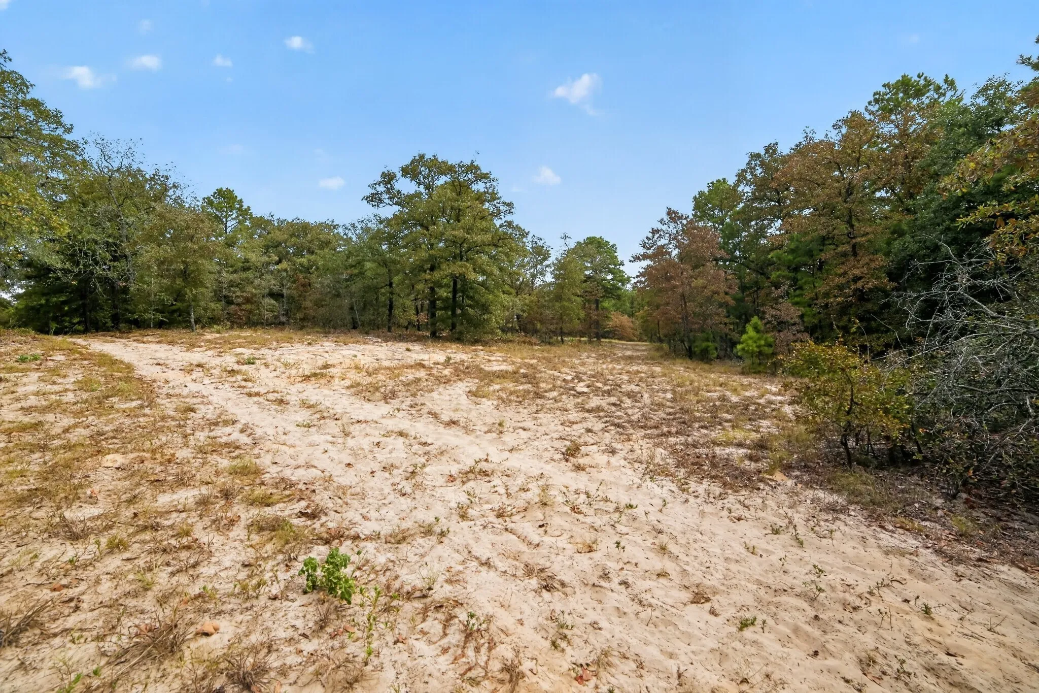 Ranch For Sale in Wood County , 4079 S Farm To Market 2869 Road, Hawkins, Texas 75765, 0, 0, Garage spaces, 0 Sqft, built in 0, mls#21370385, Real Estate Agent in Hawkins, Homes For Sale in Wood county, Homes For Sale in Hawkins, Realtor in Hawkins Texas, Real Estate Brokerage Independent Realty Texas, Luminita Cordes Realtor