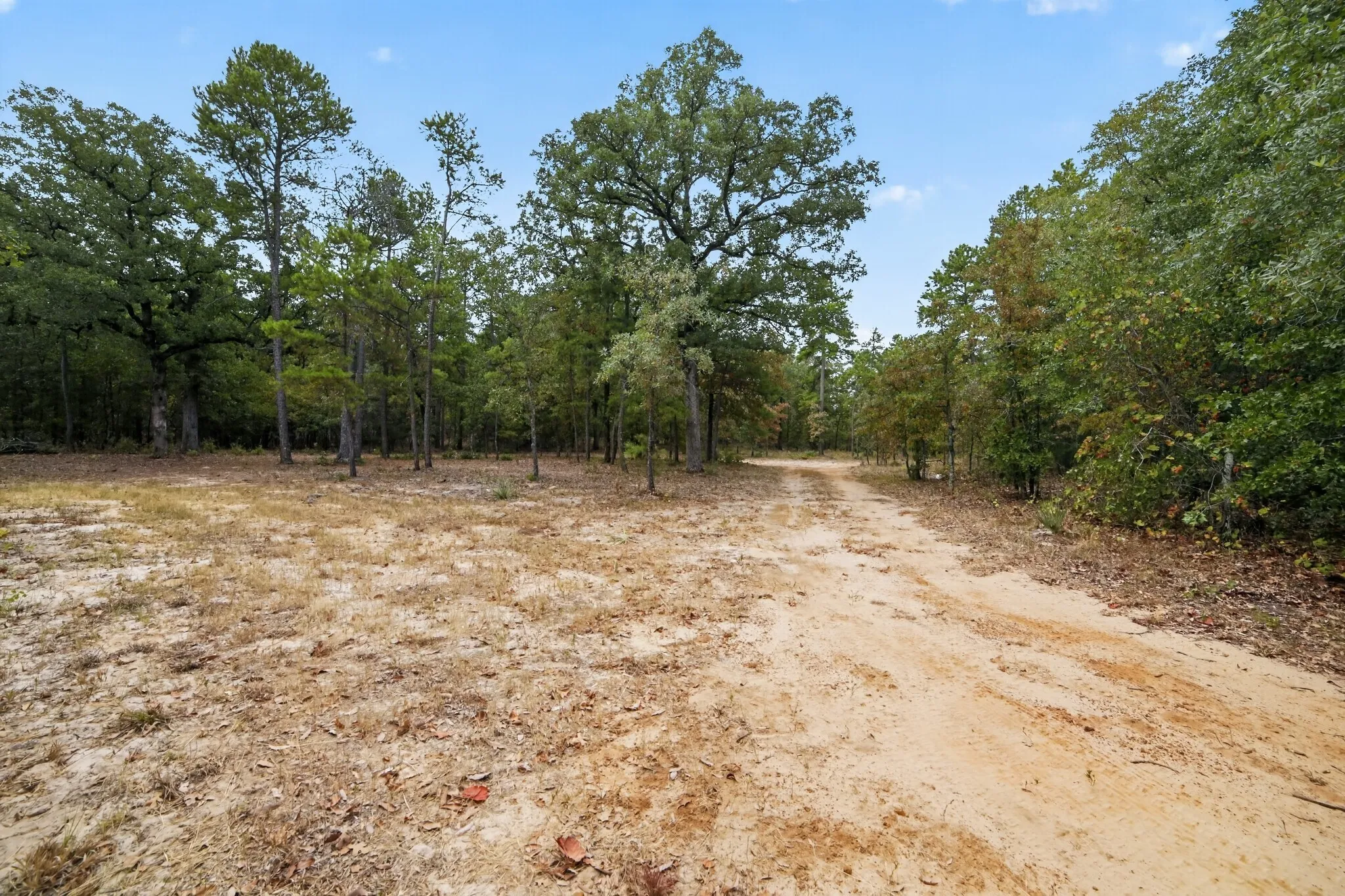 Ranch For Sale in Wood County , 4079 S Farm To Market 2869 Road, Hawkins, Texas 75765, 0, 0, Garage spaces, 0 Sqft, built in 0, mls#21370385, Real Estate Agent in Hawkins, Homes For Sale in Wood county, Homes For Sale in Hawkins, Realtor in Hawkins Texas, Real Estate Brokerage Independent Realty Texas, Luminita Cordes Realtor