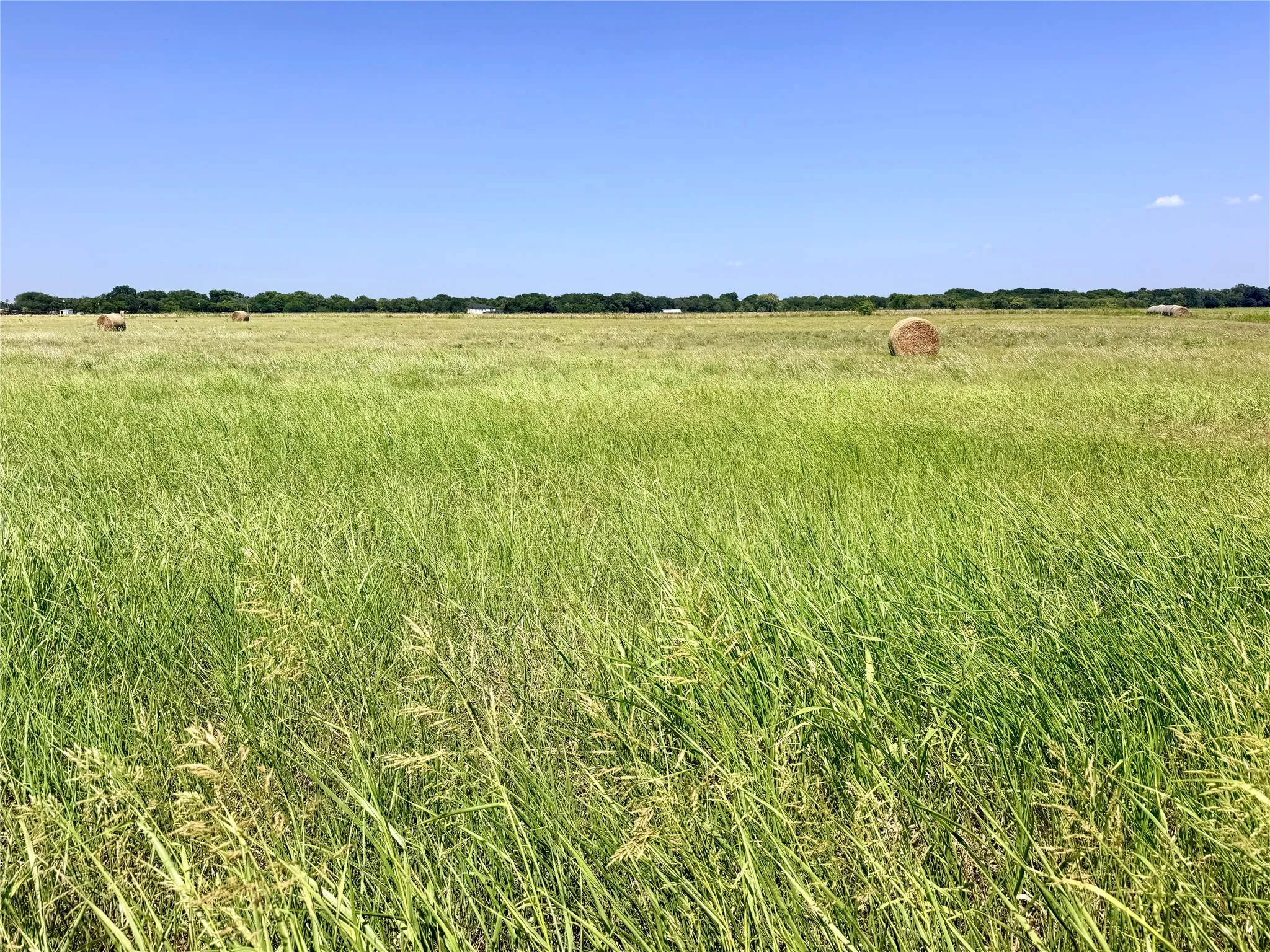 Unimproved Land For Sale in Ellis County , TBD 5.34 acres Ensign Drive, Ennis, Texas 75119, 0, 0, Garage spaces, 0 Sqft, built in 1800, mls#21370520, Real Estate Agent in Ennis, Homes For Sale in Ellis county, Homes For Sale in Ennis, Realtor in Ennis Texas, Real Estate Brokerage Independent Realty Texas, Luminita Cordes Realtor