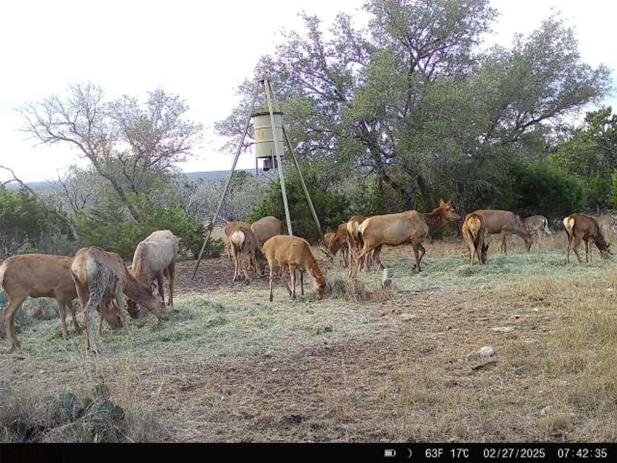 Ranch For Sale in Kerr County , 190 Pvt Rd 3019 NW, Mountain Home, Texas 76849, 0, 0, Garage spaces, 0 Sqft, built in 0, mls#21370562, Real Estate Agent in Mountain Home, Homes For Sale in Kerr county, Homes For Sale in Mountain Home, Realtor in Mountain Home Texas, Real Estate Brokerage Independent Realty Texas, Luminita Cordes Realtor